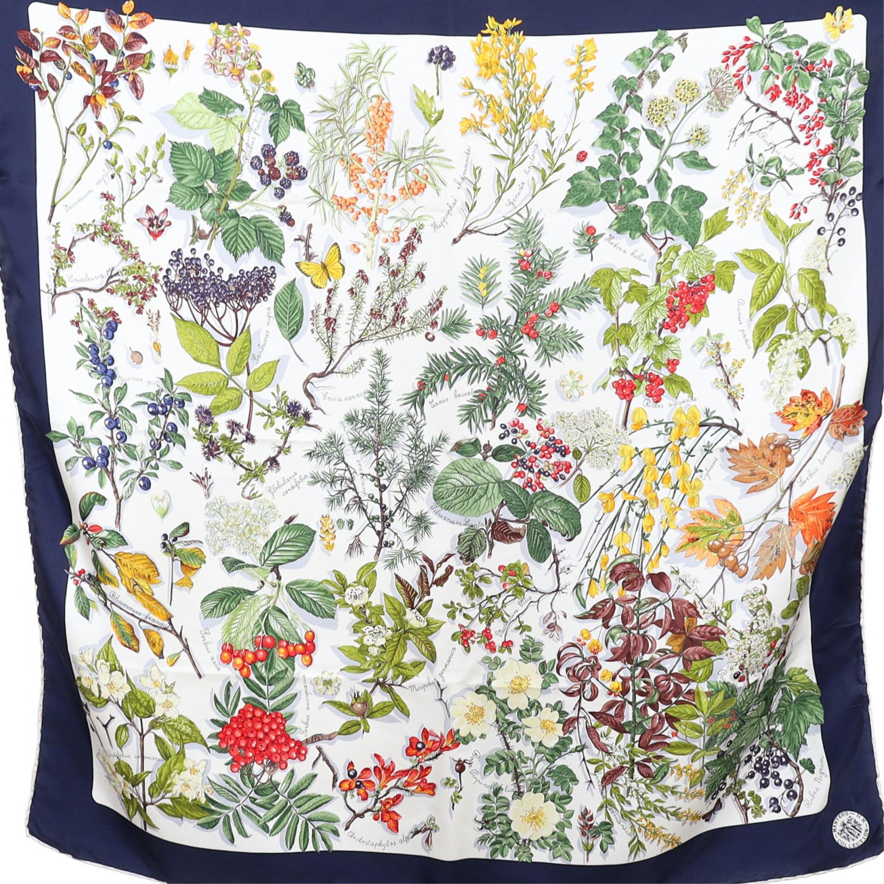Boxed Mantero Botanical Silk Scarf