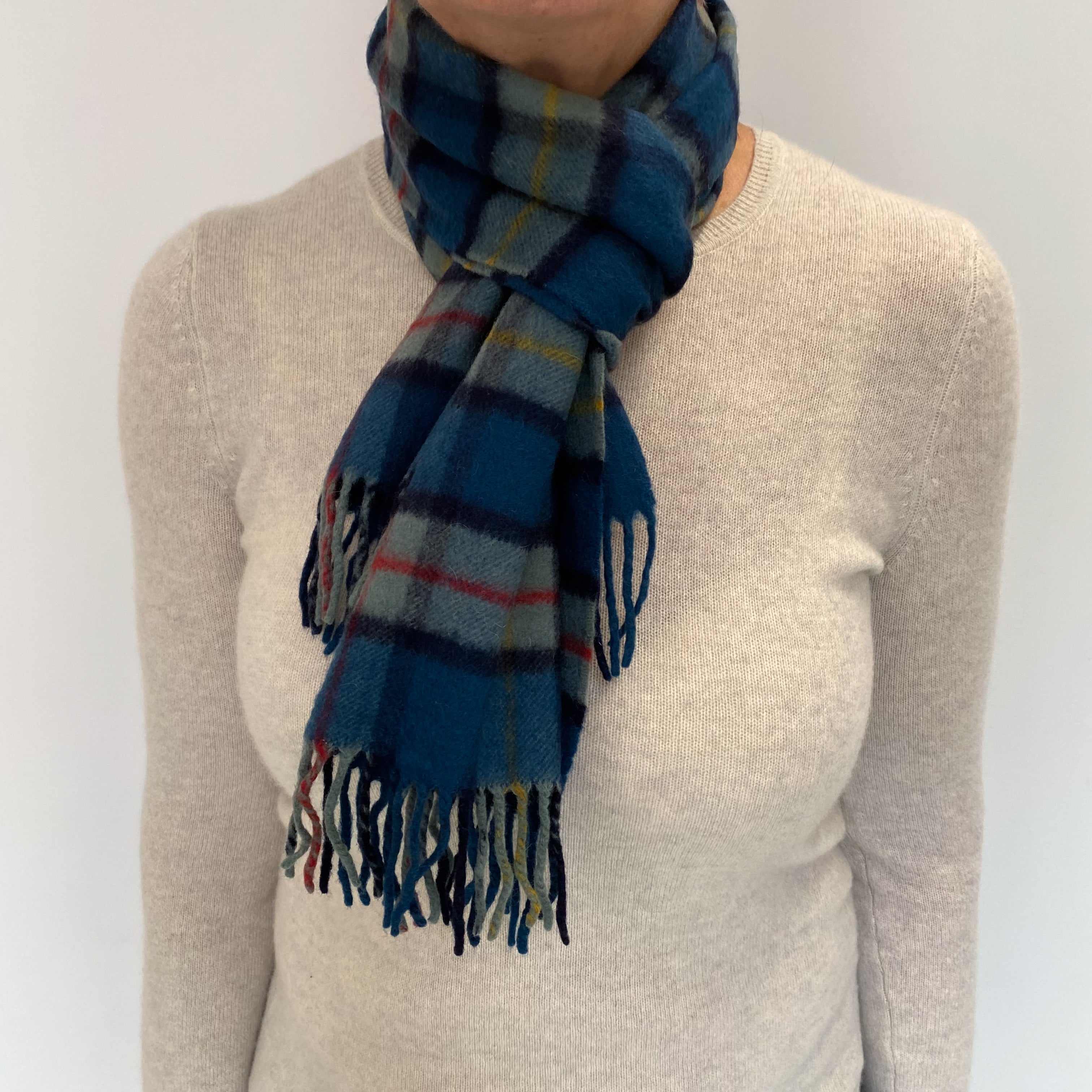 Blue and Red Checked Cashmere Woven Fringed Scarf