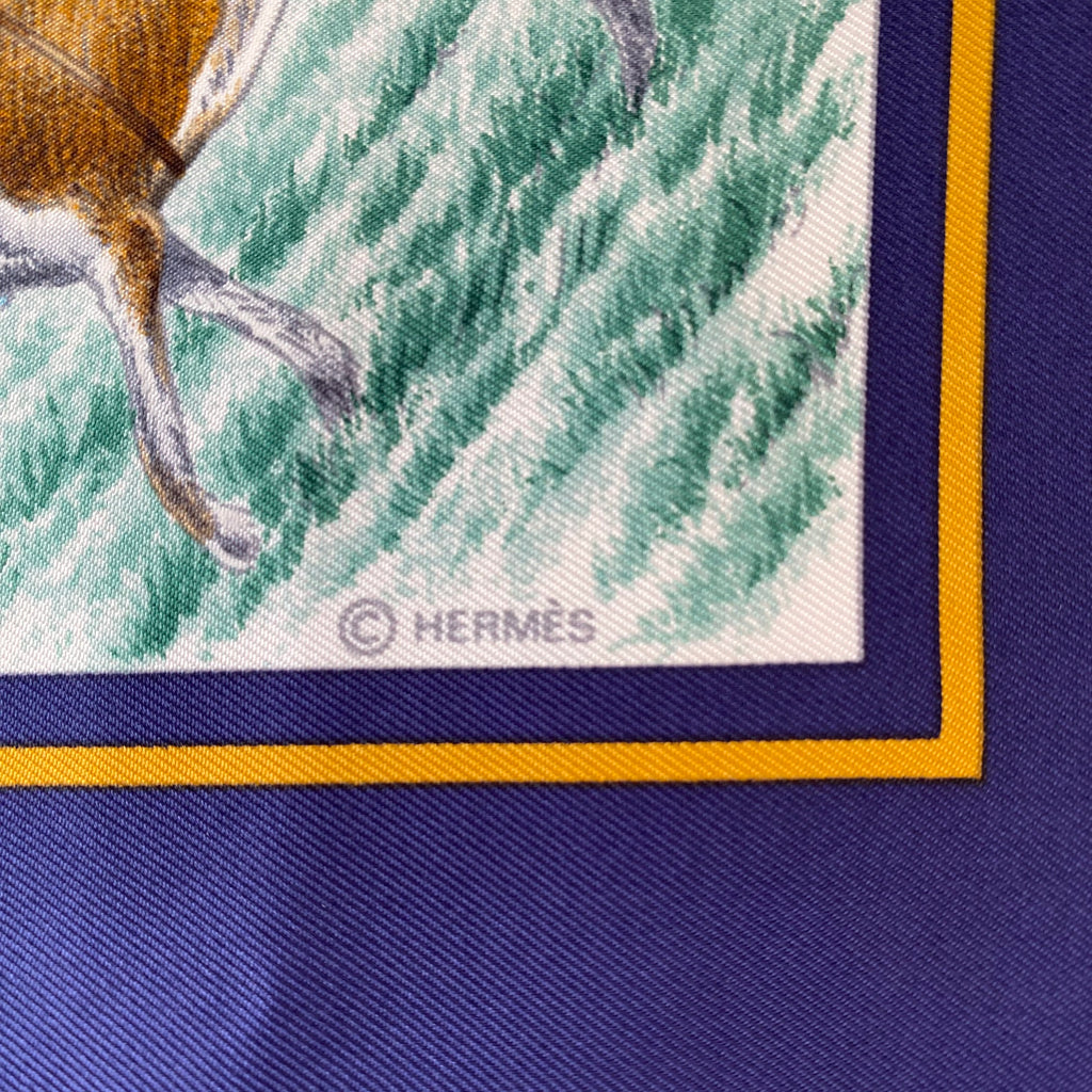 Brand New Boxed Hermès Auteuil en Mai Silk Scarf Quite Rare