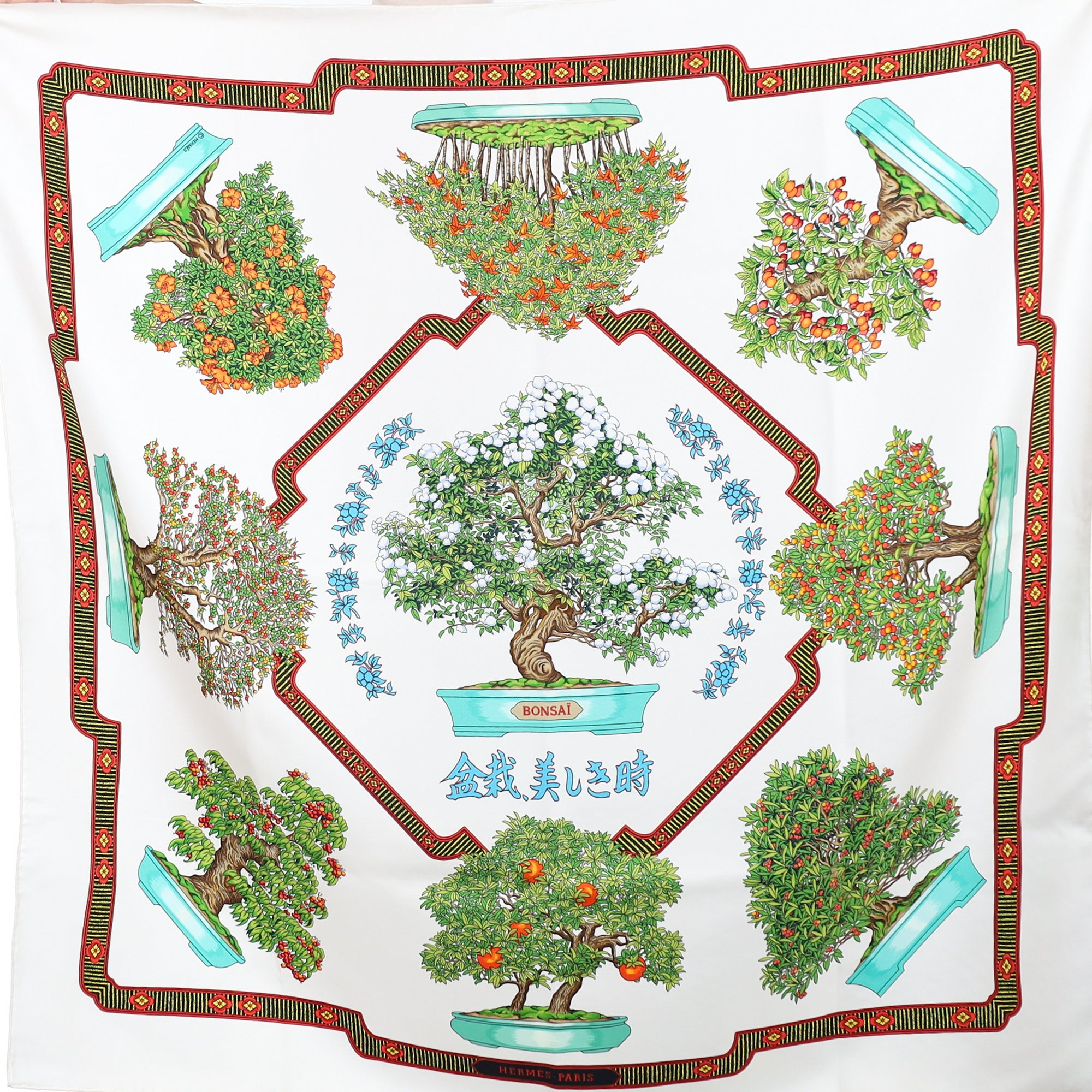 Pristine Hermès Bonsaï Silk Scarf Quite Rare