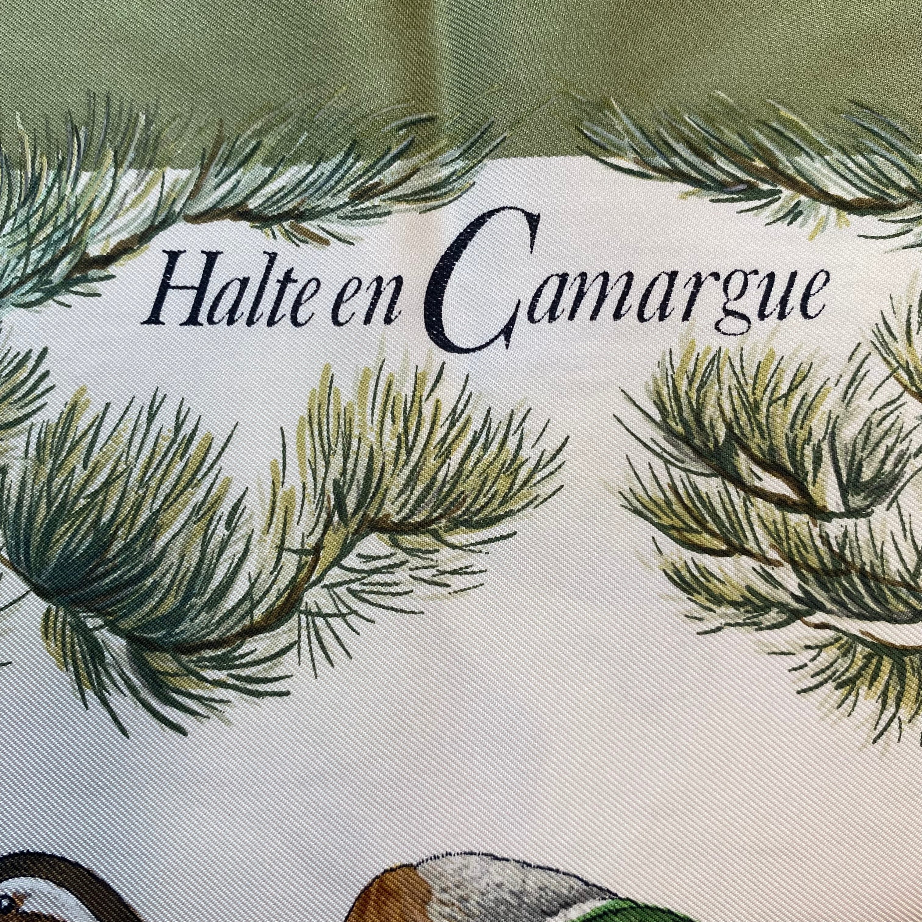 Hermès Halte En Camargue Silk Scarf