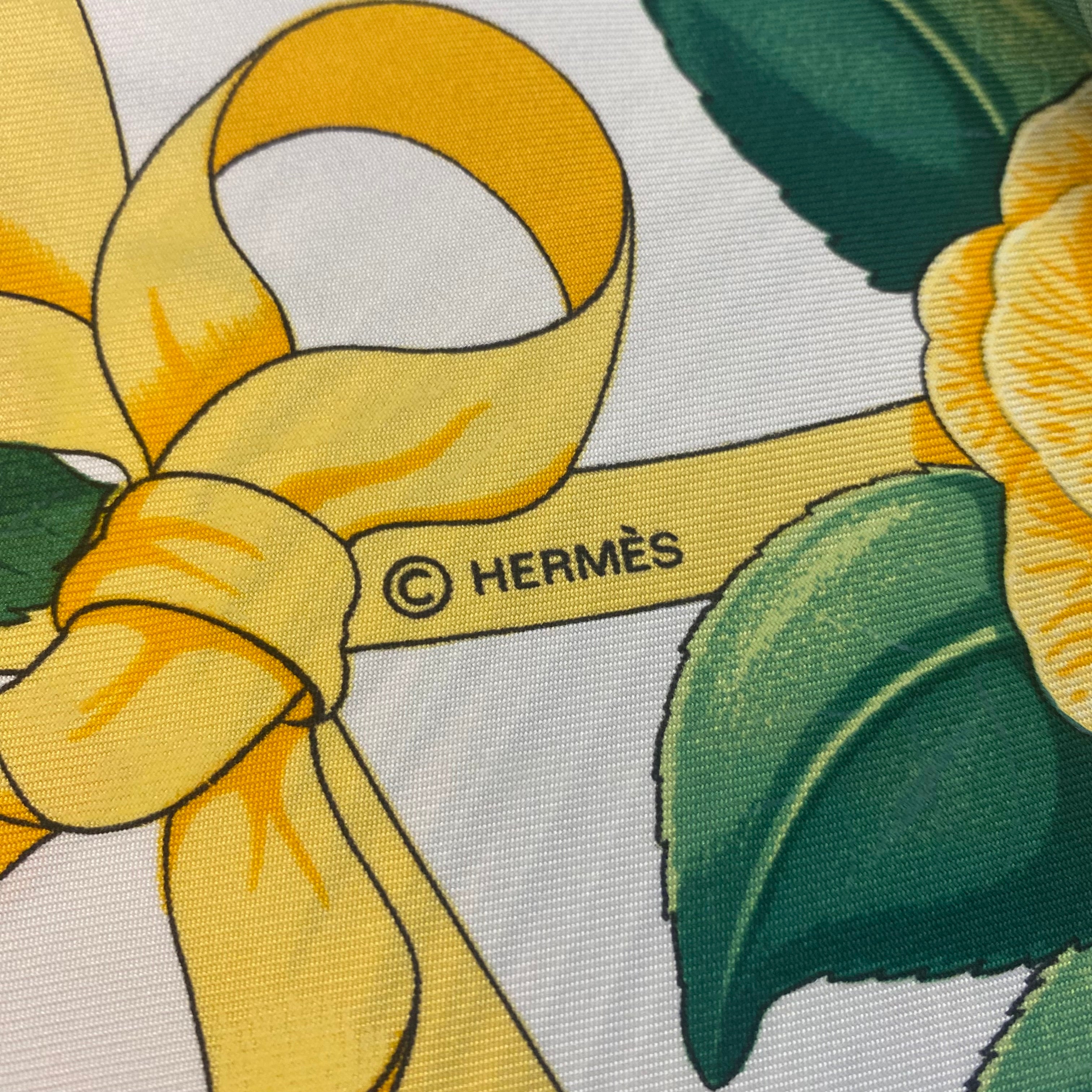 Hermès Fleurs De L’opéra Silk Scarf