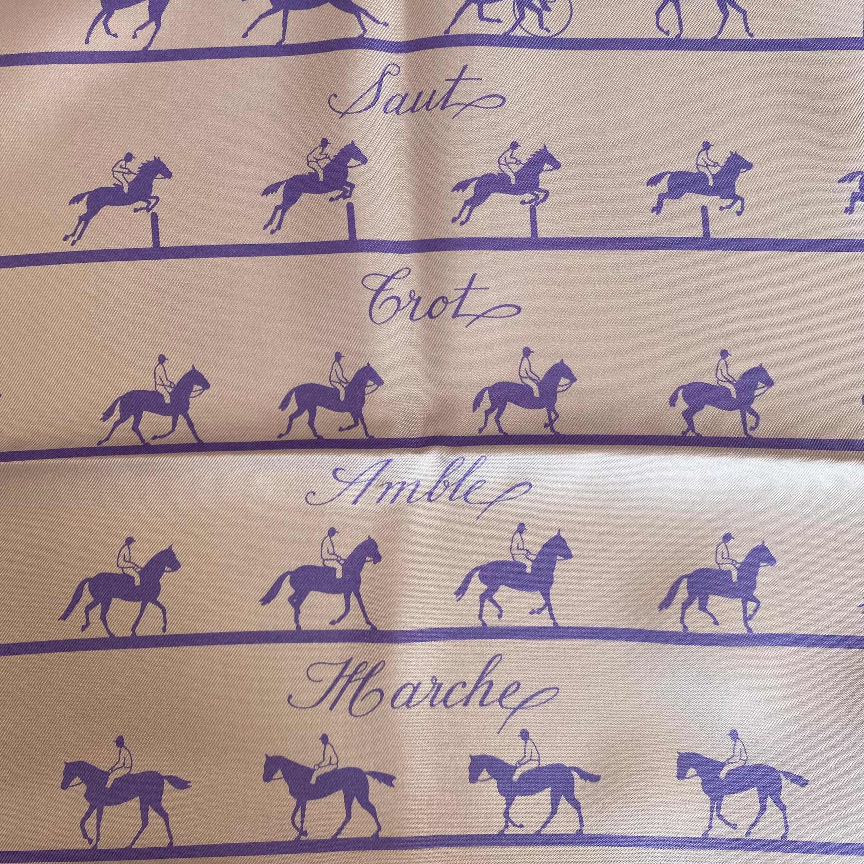 Boxed Hermès Les Allures Silk Scarf Rare