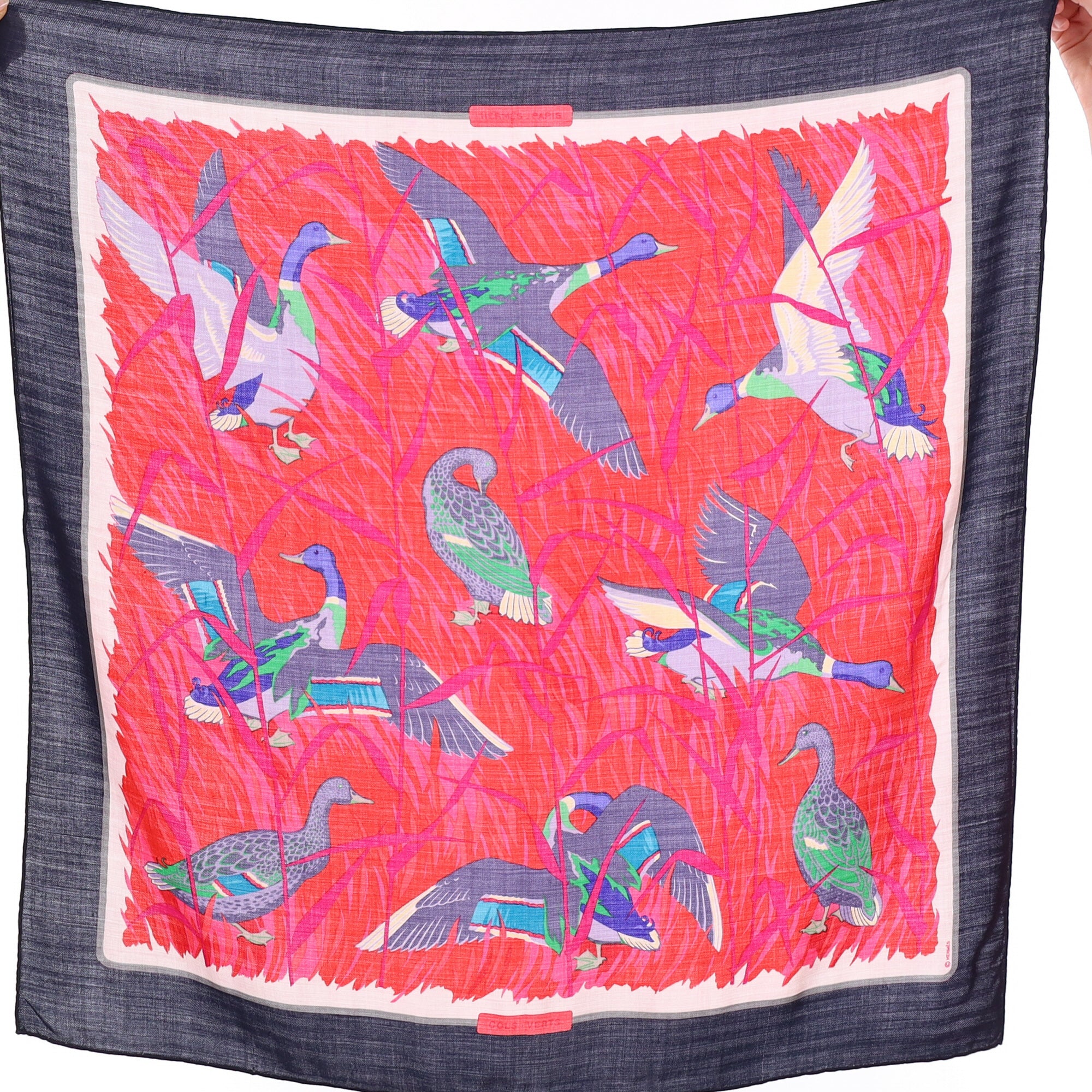 Brand New Hermès Cols Verts Silk and Cashmere Scarf