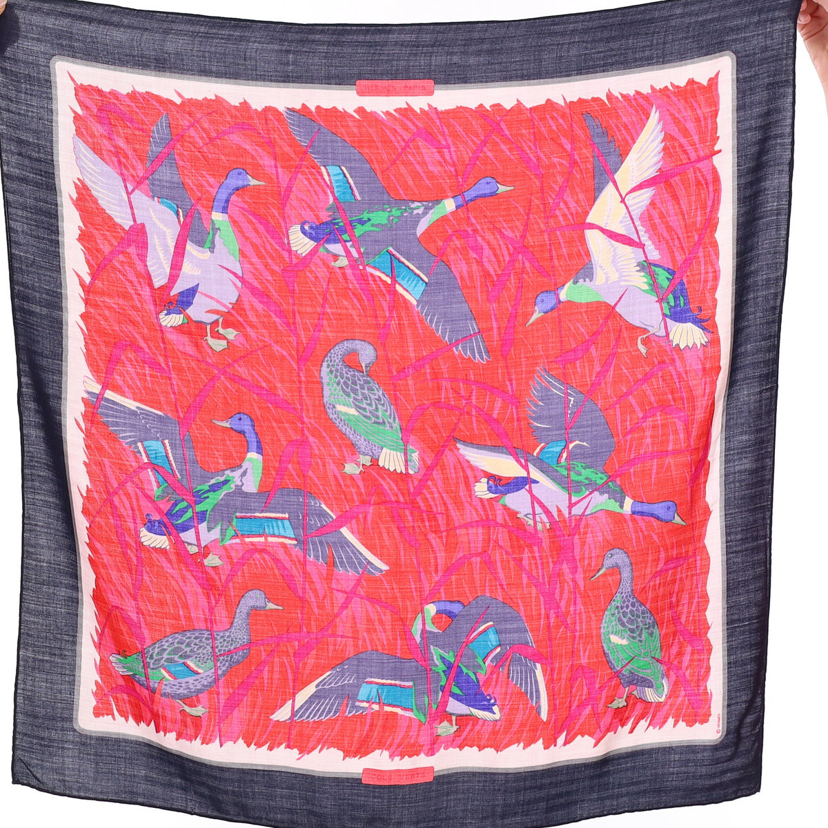 Brand New Hermès Cols Verts Silk and Cashmere Scarf