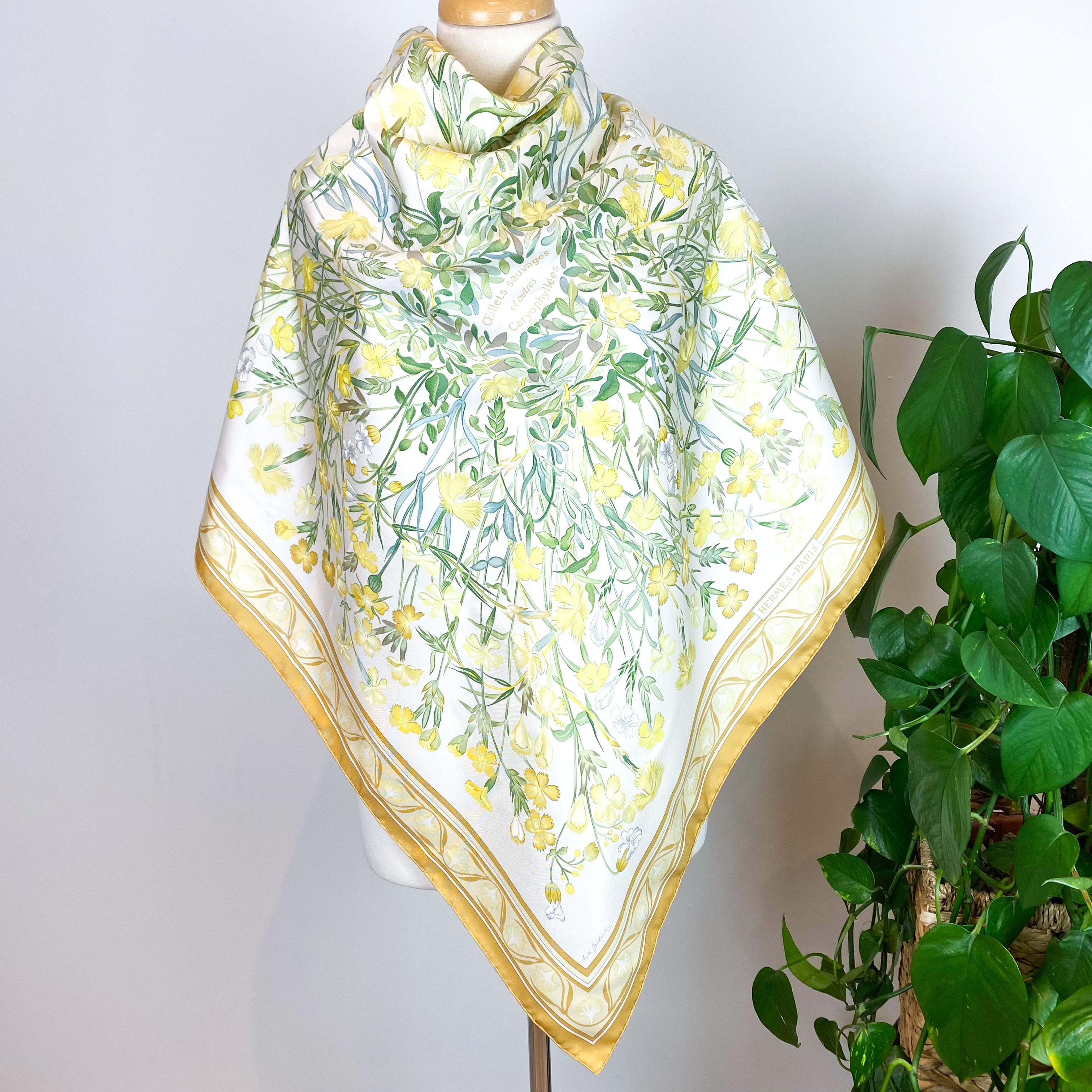 Boxed Hermes Oeillets Sauvages Vintage Silk Scarf