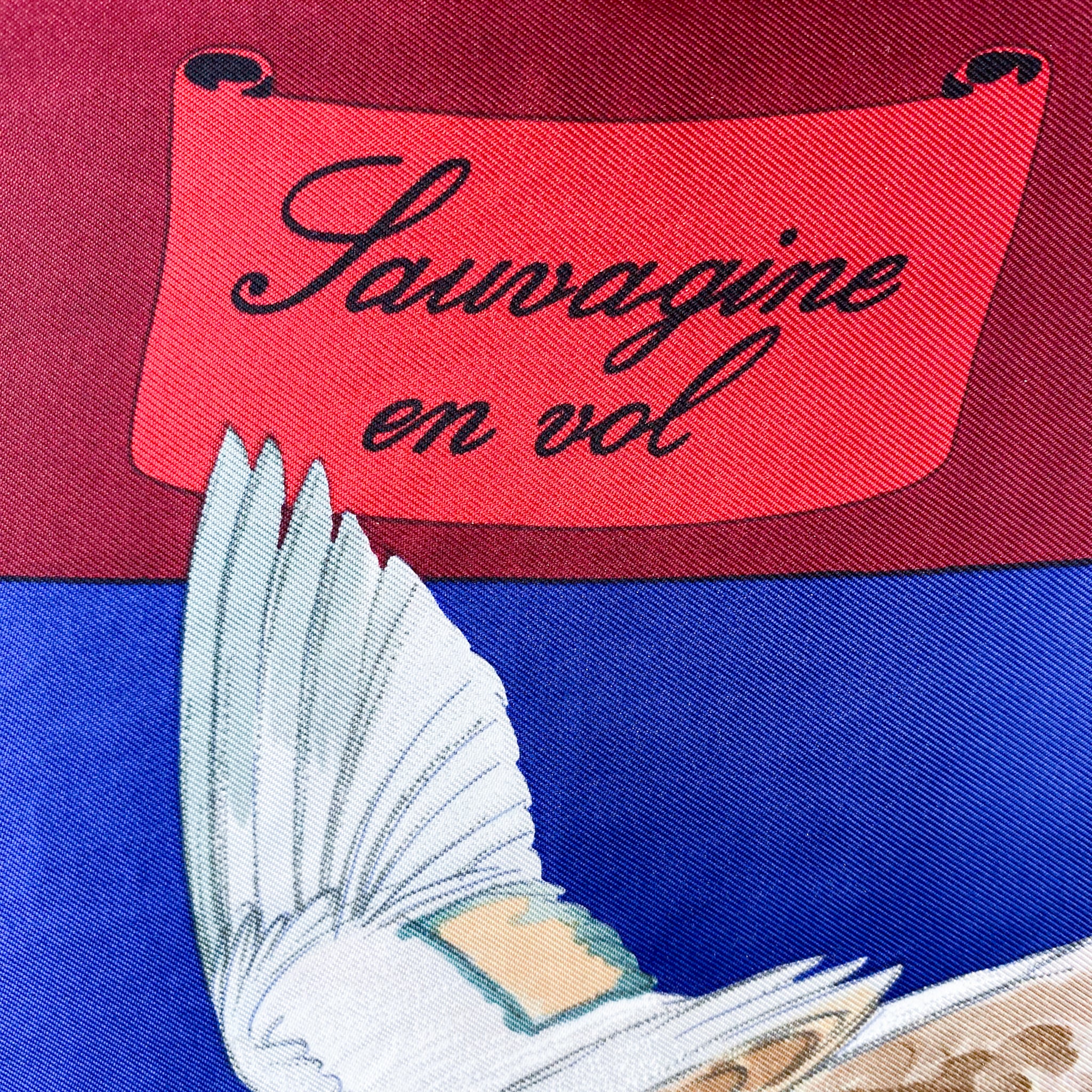 Boxed Hermes Sauvagine en Vol Vintage Silk Scarf