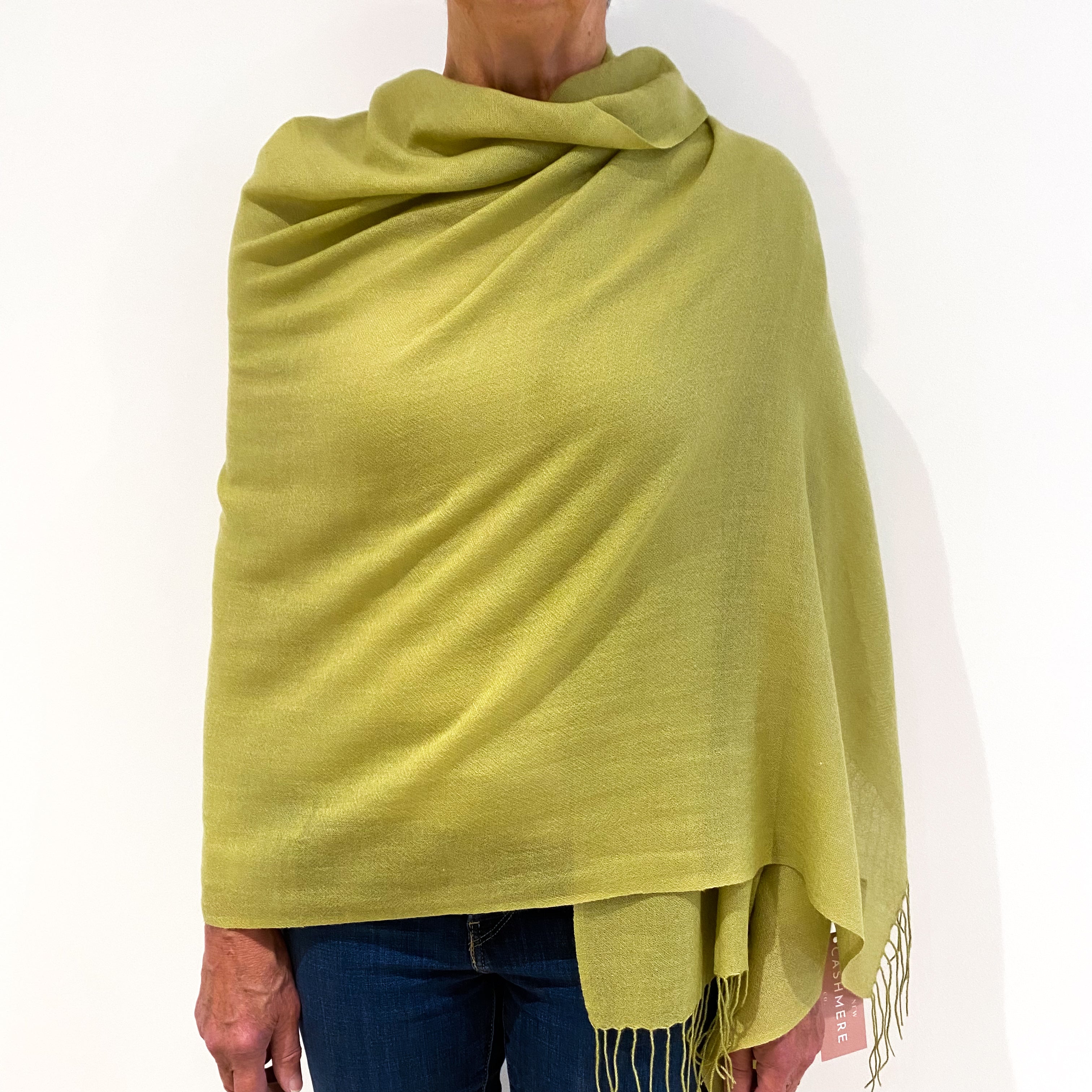 Brand New Pear Green Cashmere Pashmina Scarf