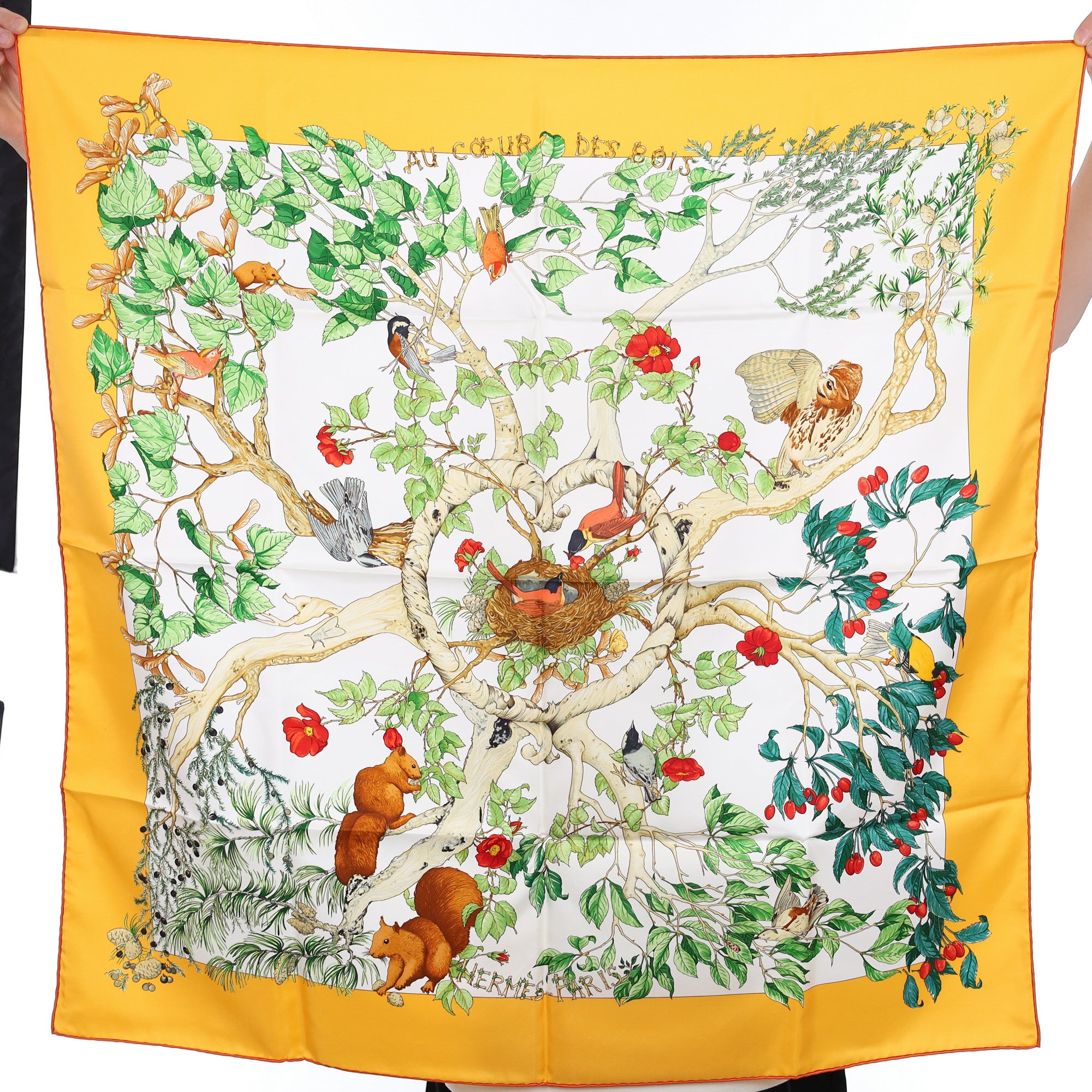 Brand New Boxed Hermès Au Coeur des Bois Silk Scarf