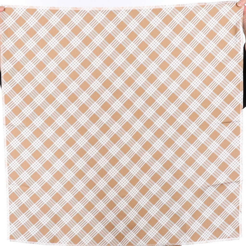Brand New Agnona Checked Silk Scarf