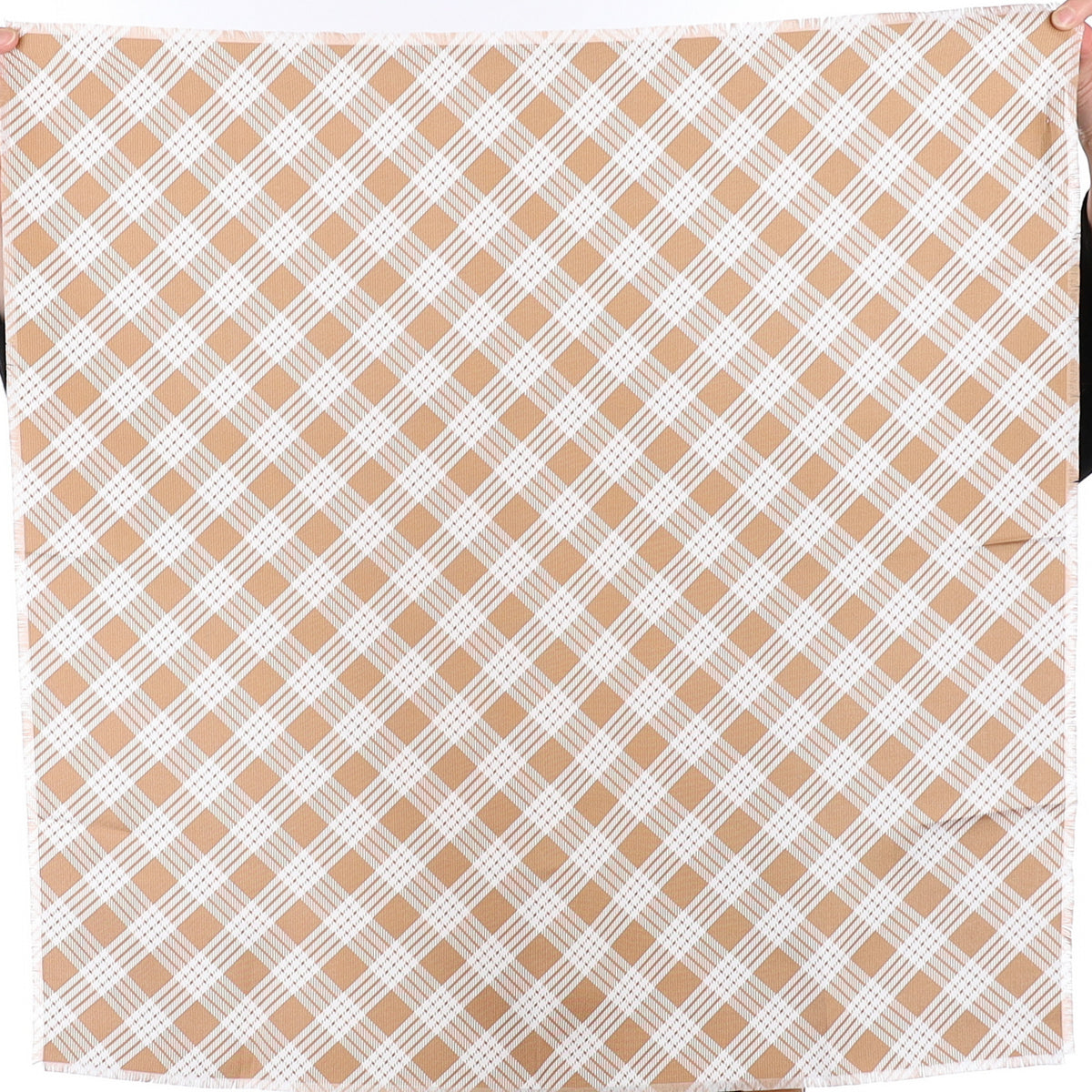 Brand New Agnona Checked Silk Scarf