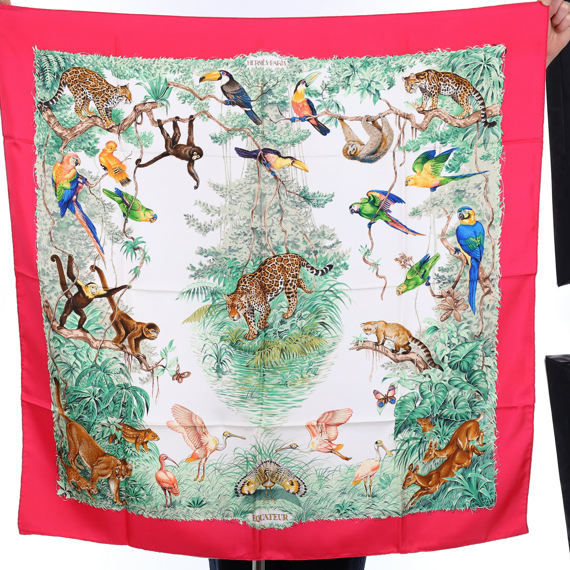 Pristine Boxed Hermès Equateur Silk Scarf Quite Rare