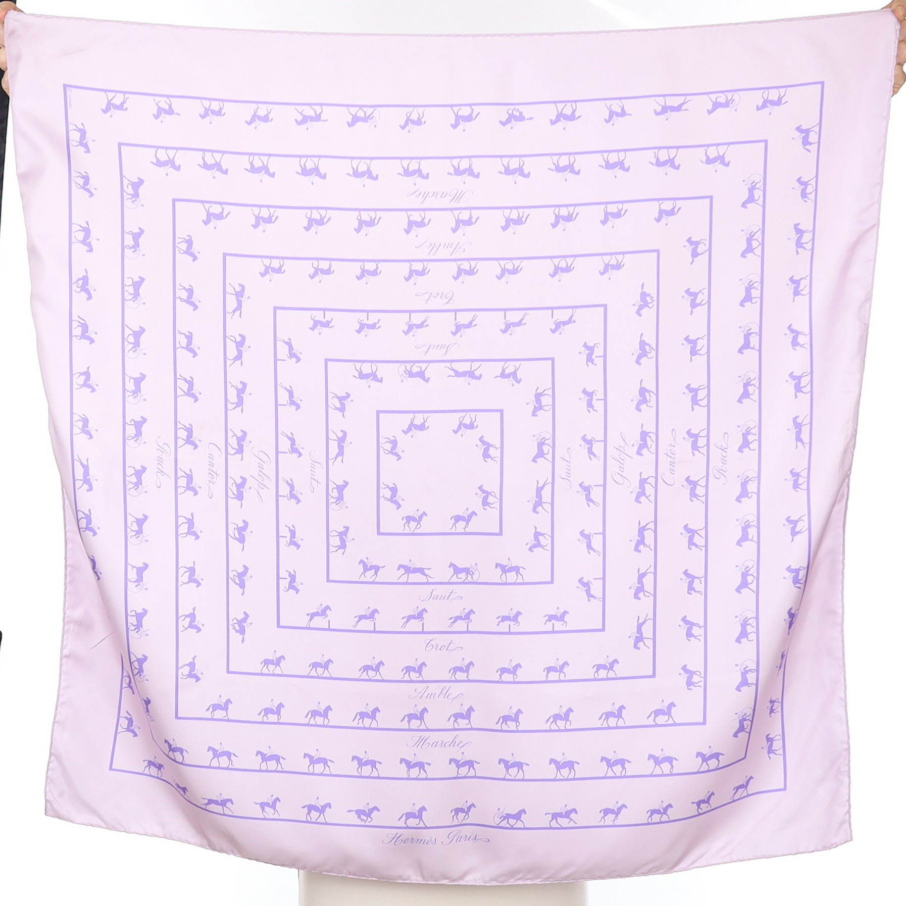 Boxed Hermès Les Allures Silk Scarf Rare