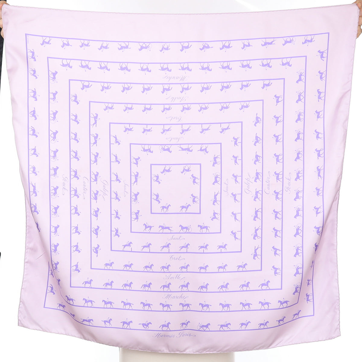 Boxed Hermès Les Allures Silk Scarf Rare