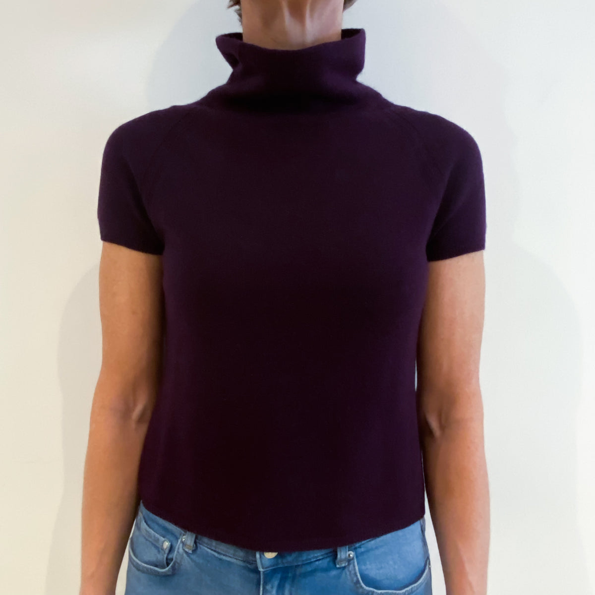 Aubergine Purple Cashmere Short Sleeved Funnel Neck Jumper Small