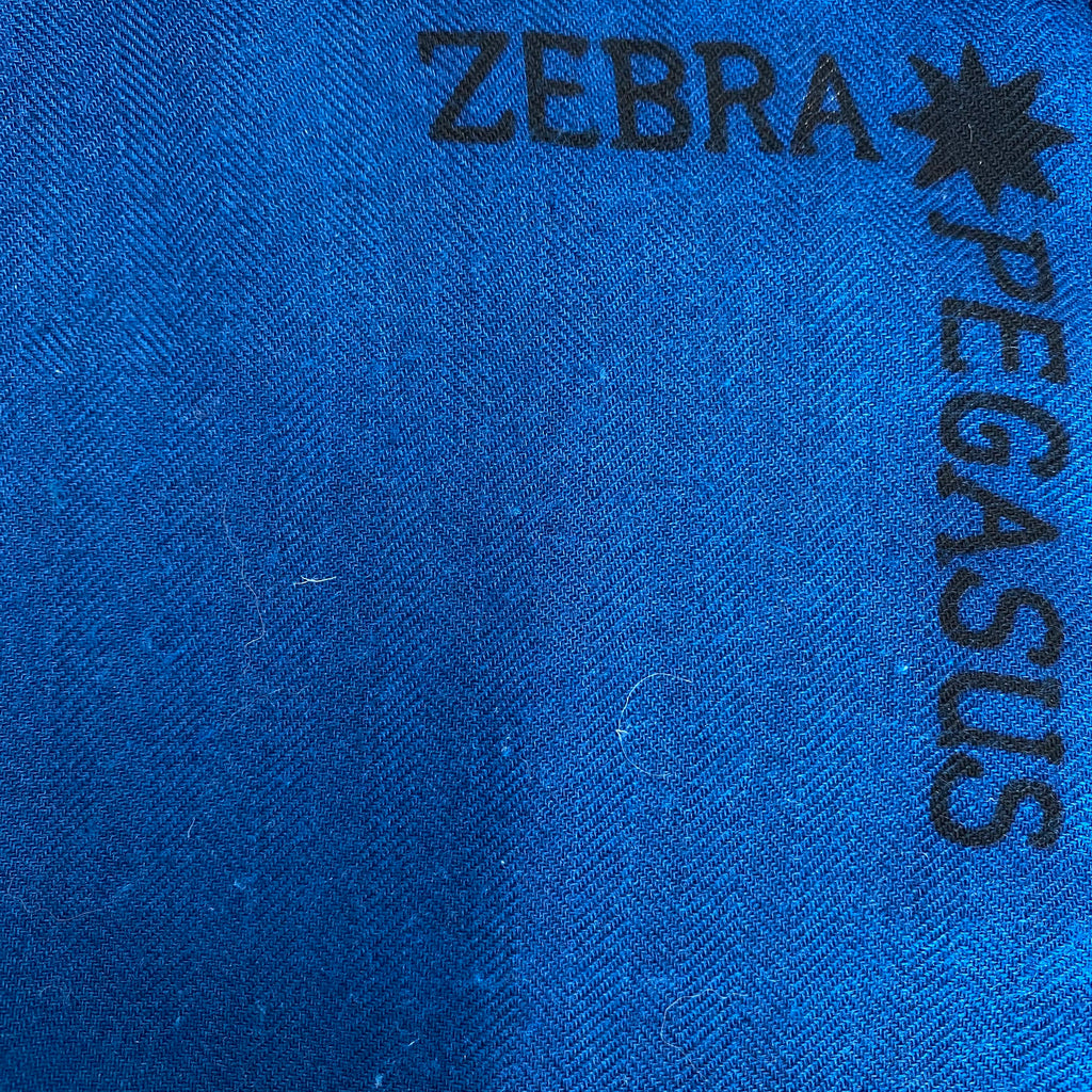 Hermès Zebra Pegasus Cashmere and Silk Stole