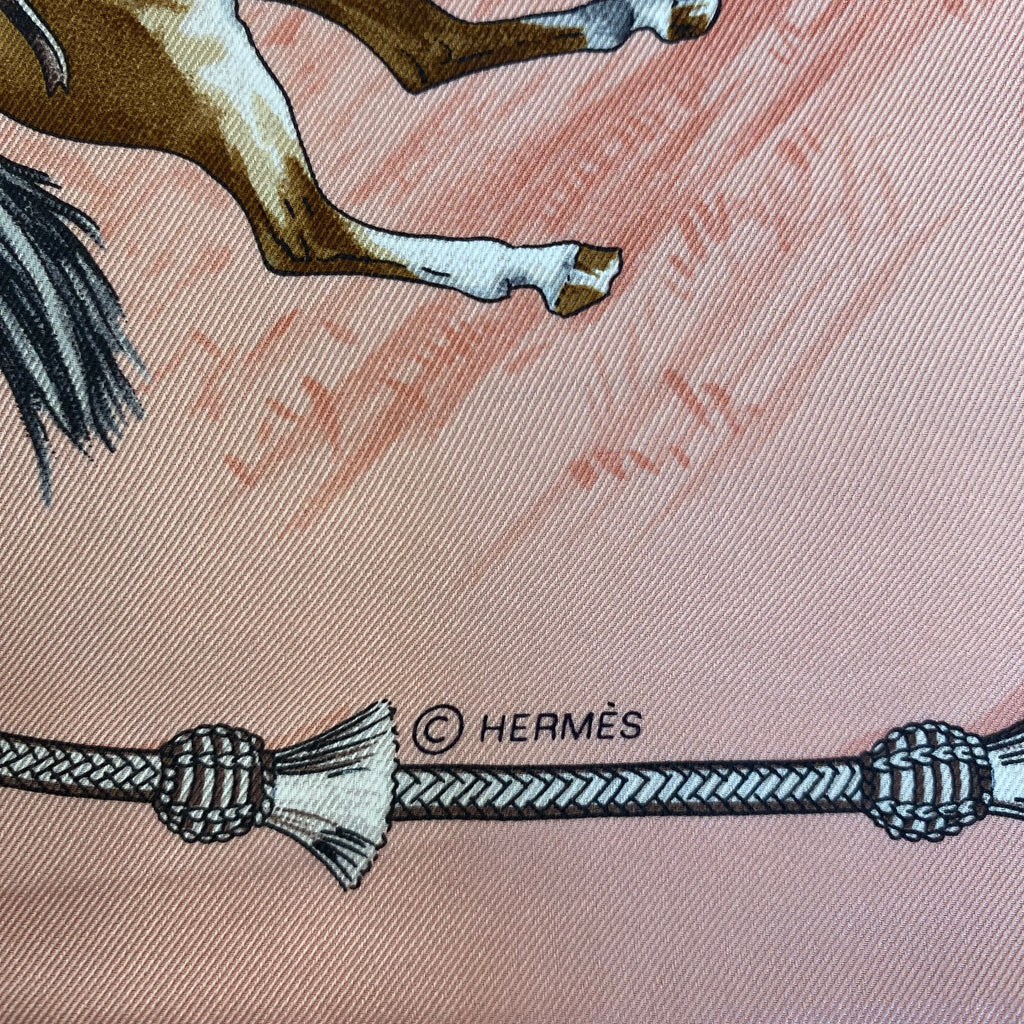 Hermès Pampa 70 Silk Scarf Quite Rare