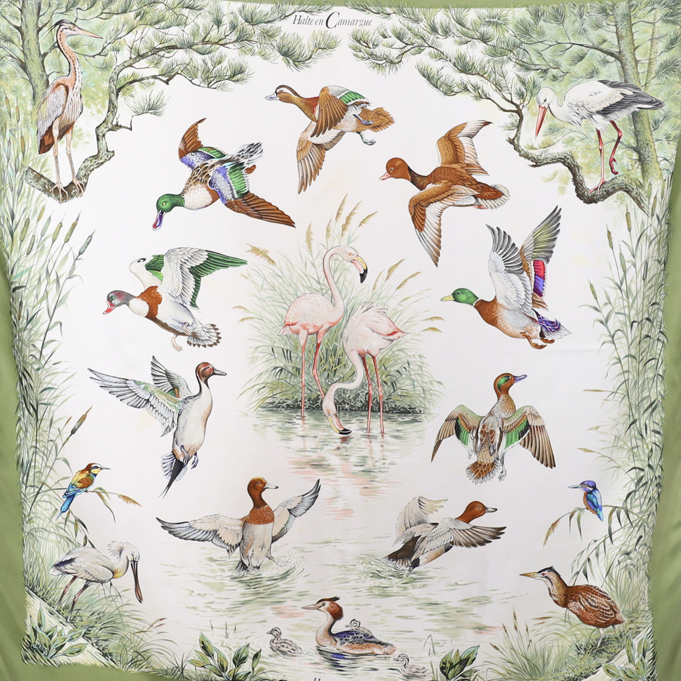 Hermès Halte En Camargue Silk Scarf