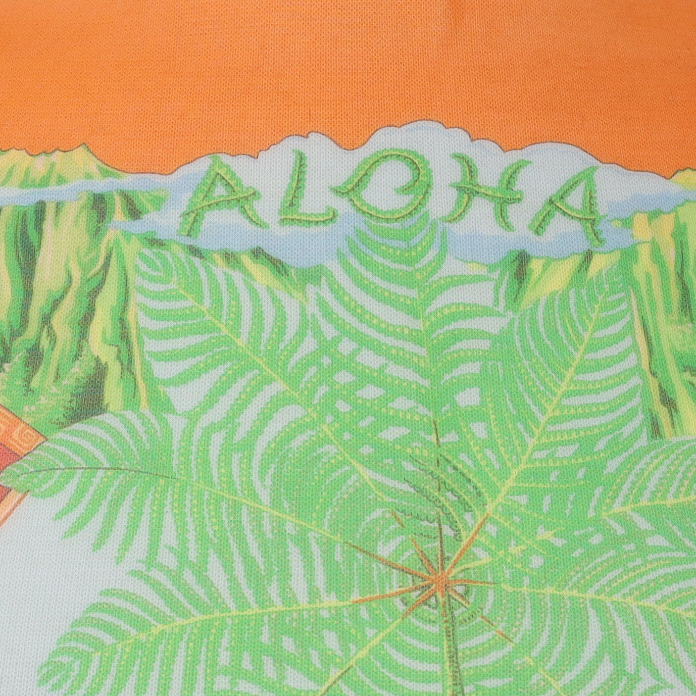 Brand New Hermès Aloha Mousseline Silk Scarf Quite Rare