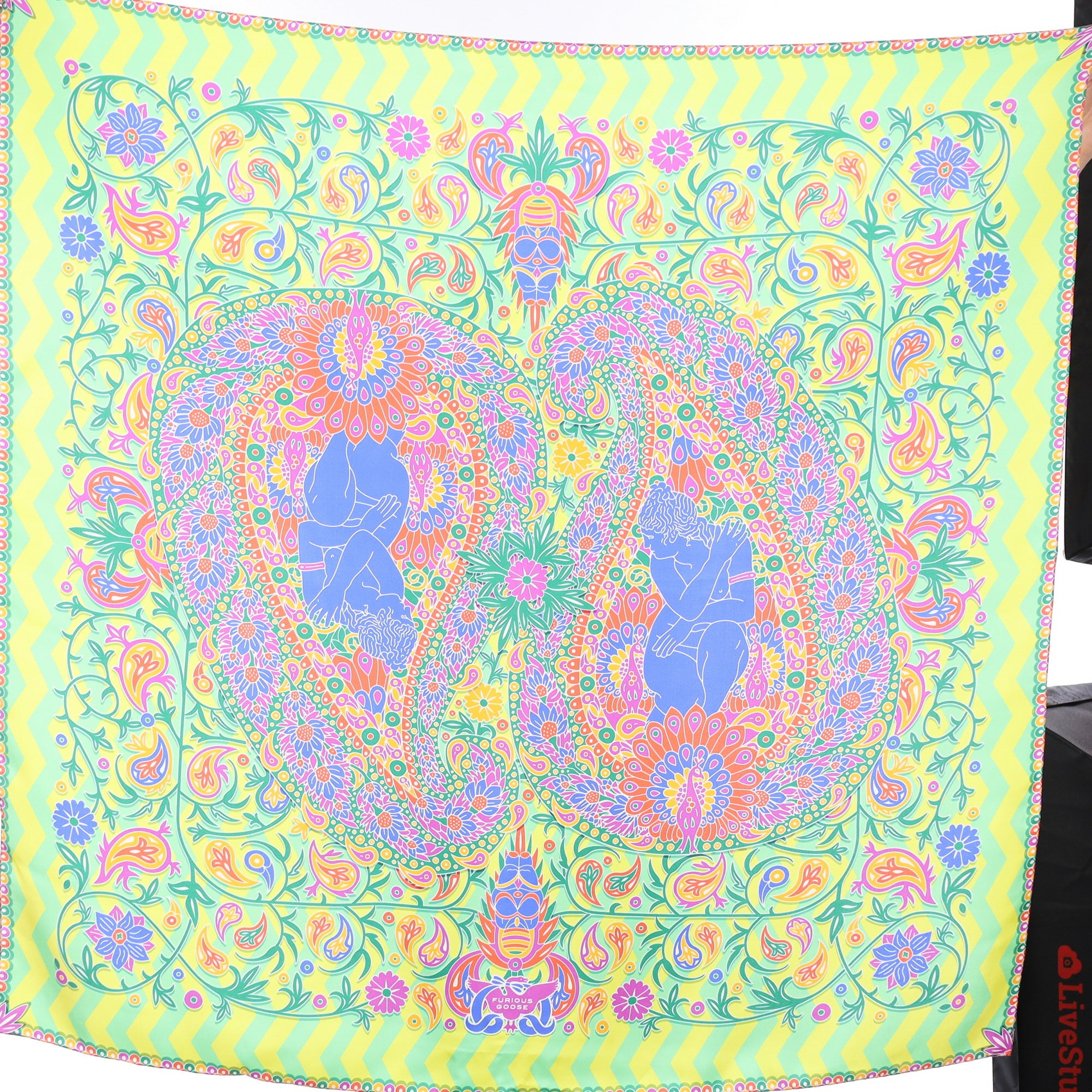 Brand New Furious Goose Green Paisley Silk Scarf