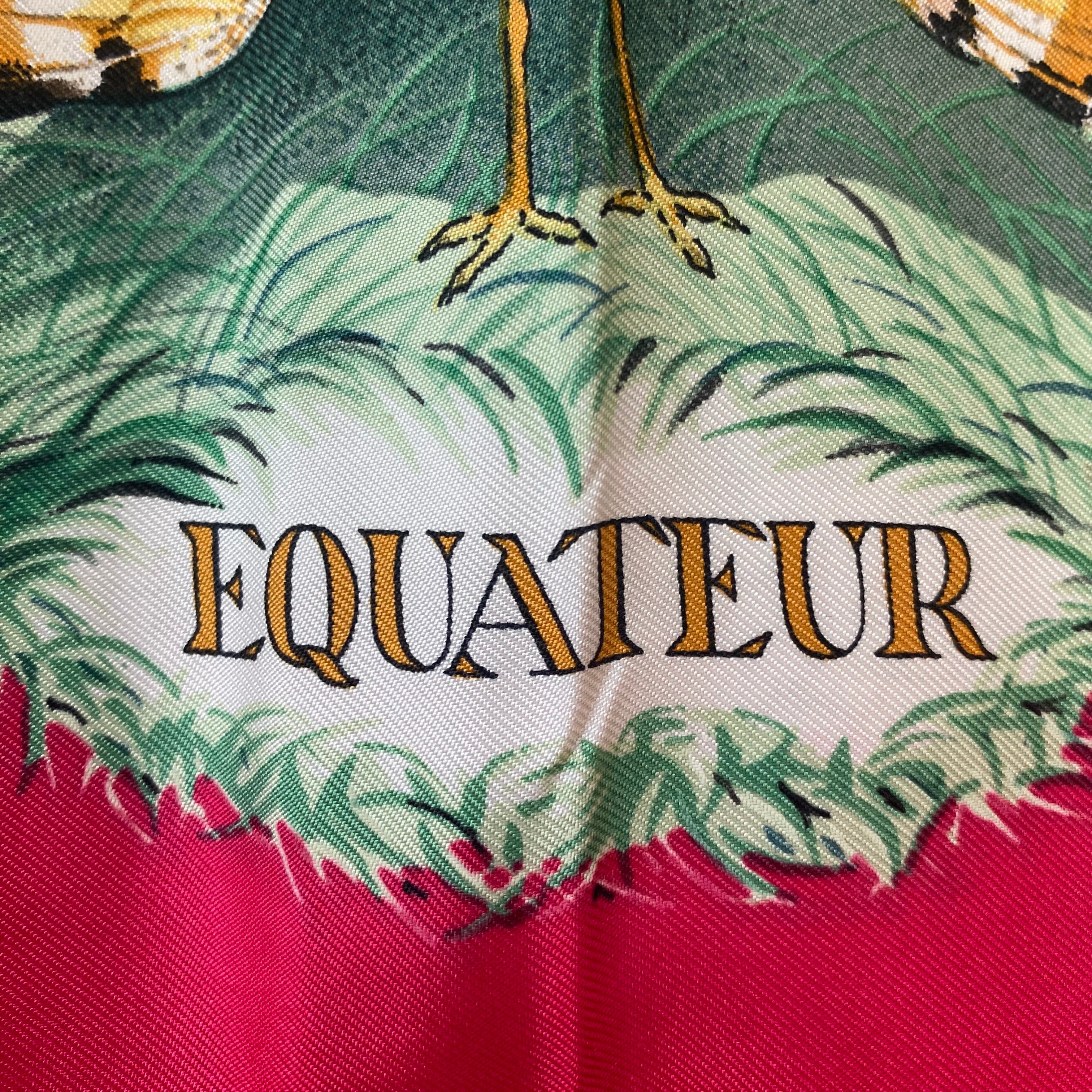 Pristine Boxed Hermès Equateur Silk Scarf Quite Rare