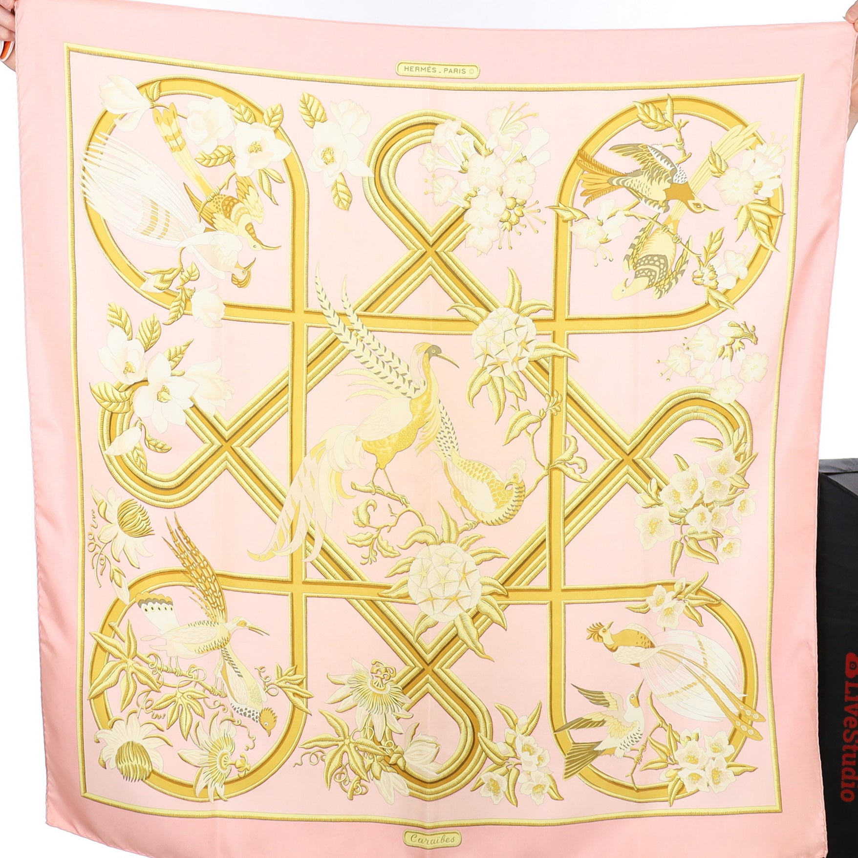 Hermès Caraibes Silk Scarf