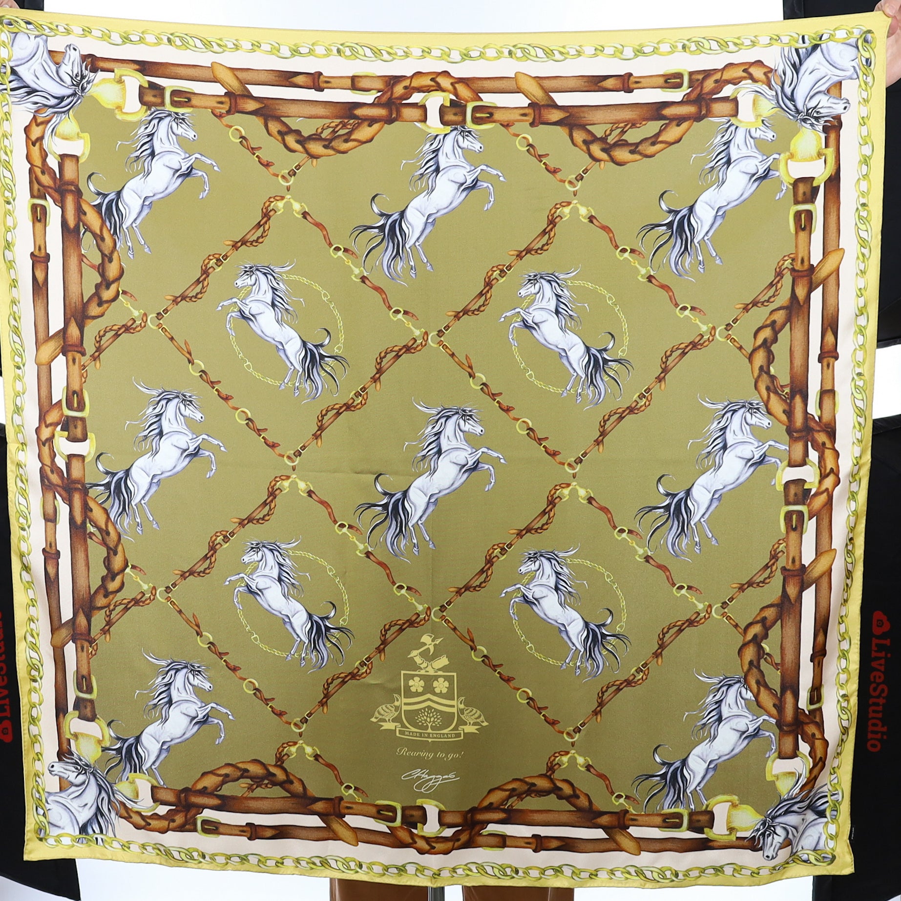 Boxed Unworn Clare Haggas Equine Olive Silk Scarf