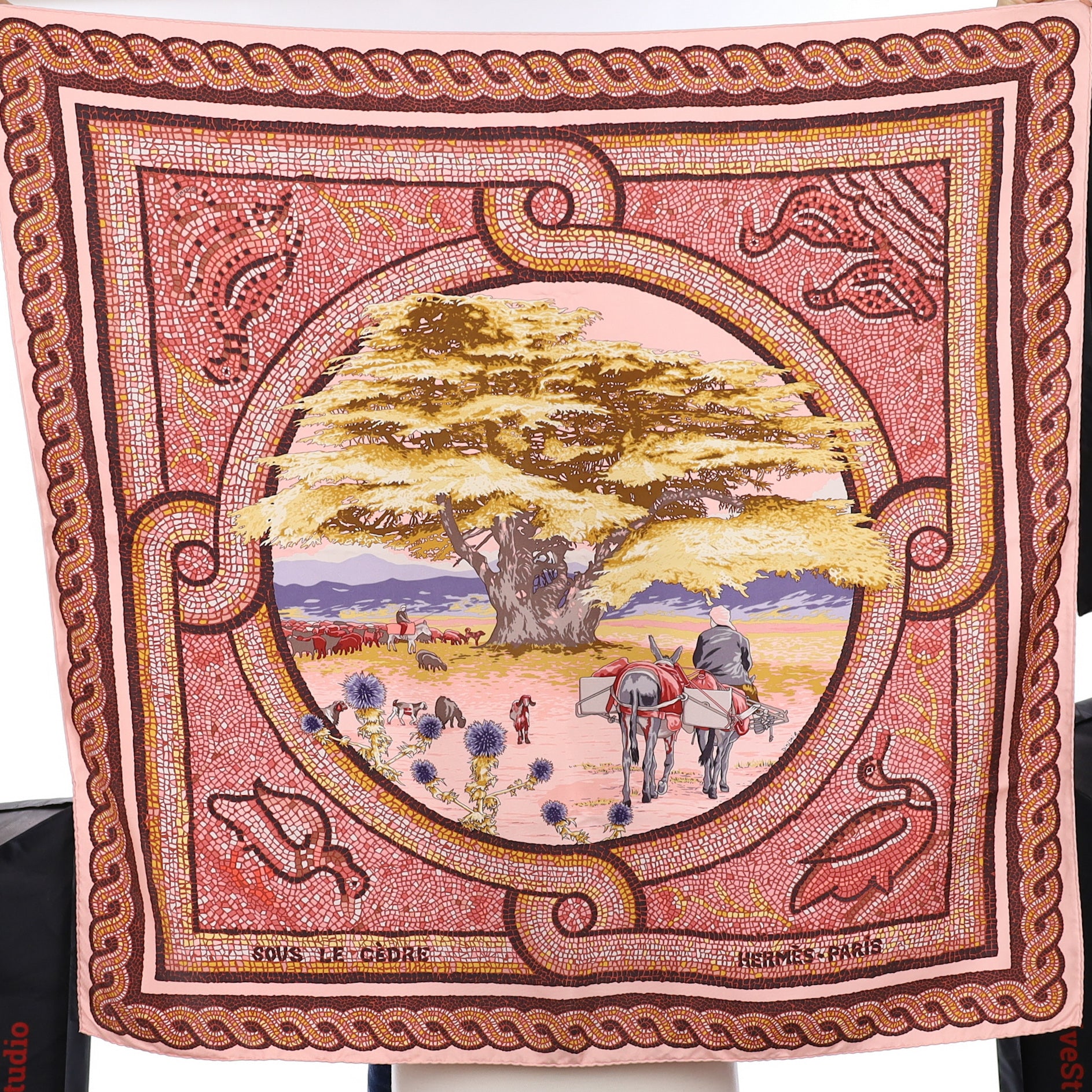 Hermès Sous Le Cèdre Silk Scarf