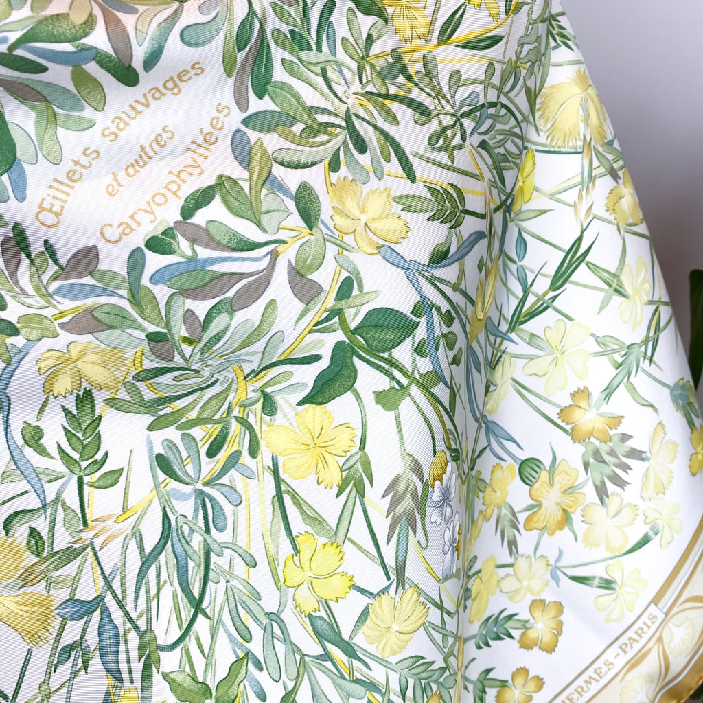 Boxed Hermes Oeillets Sauvages Vintage Silk Scarf