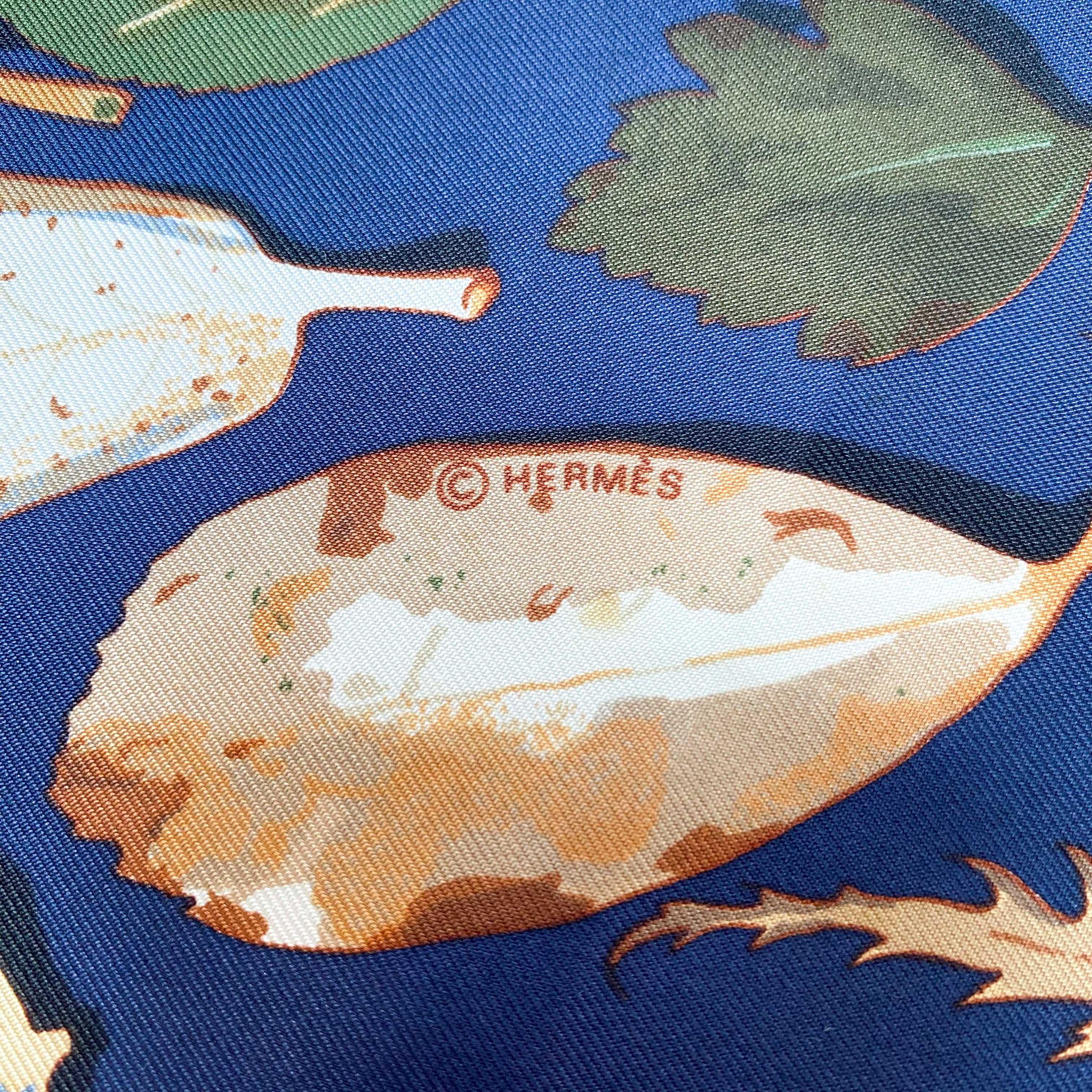 Boxed Hermès Long Silk Scarf