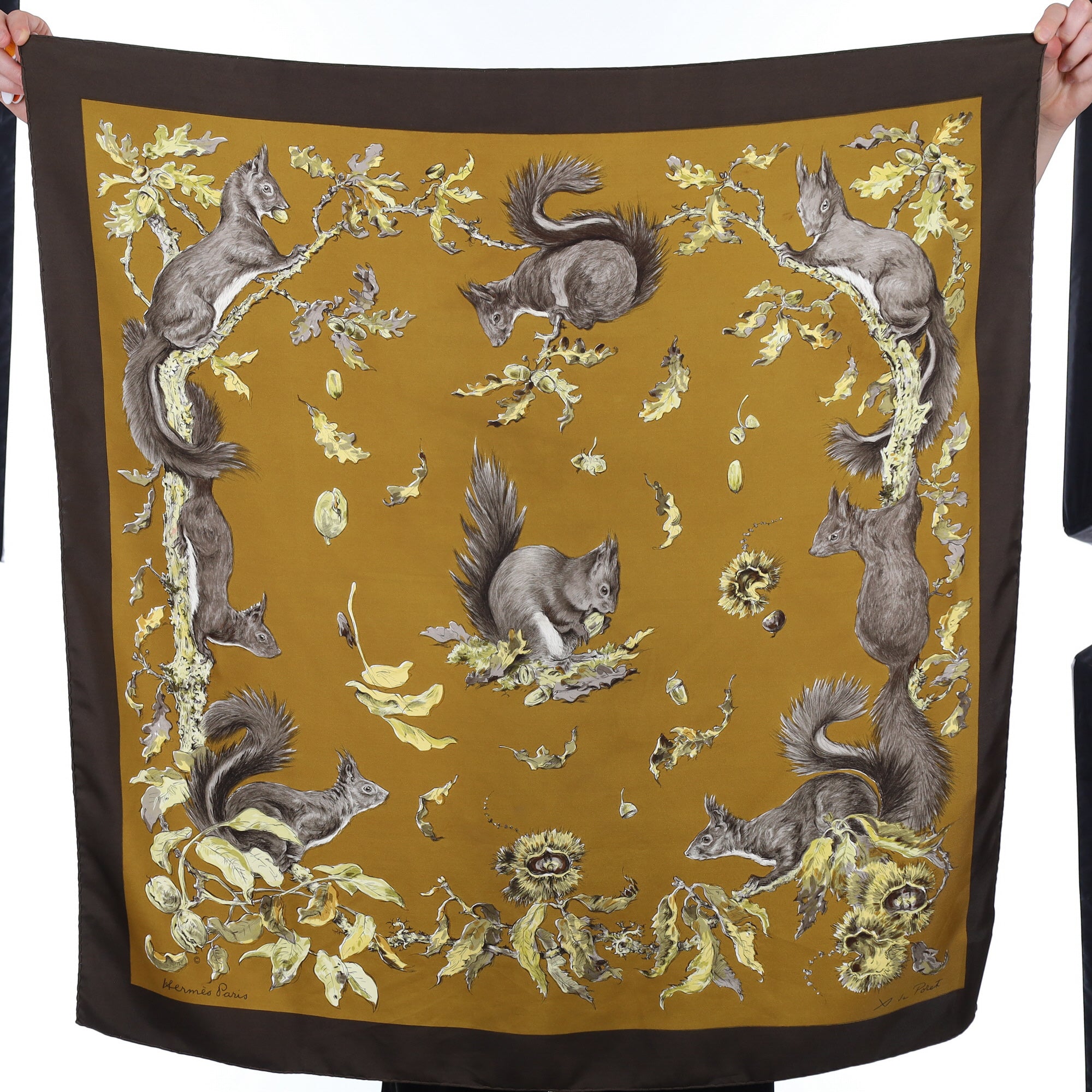 Hermès Écureuils Vintage Silk Scarf Quite Rare
