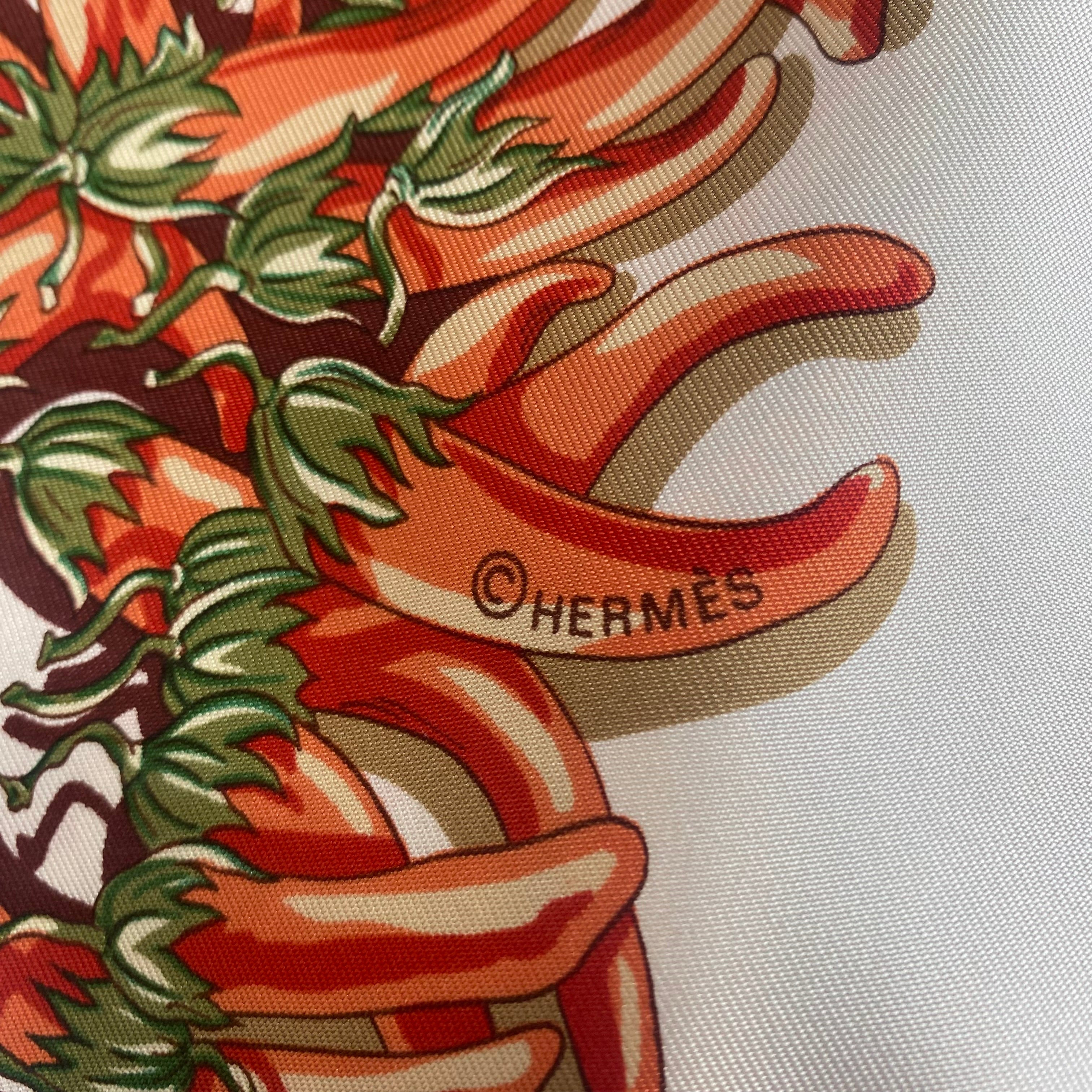 Boxed Hermès Aux Pays des Epices Silk Scarf