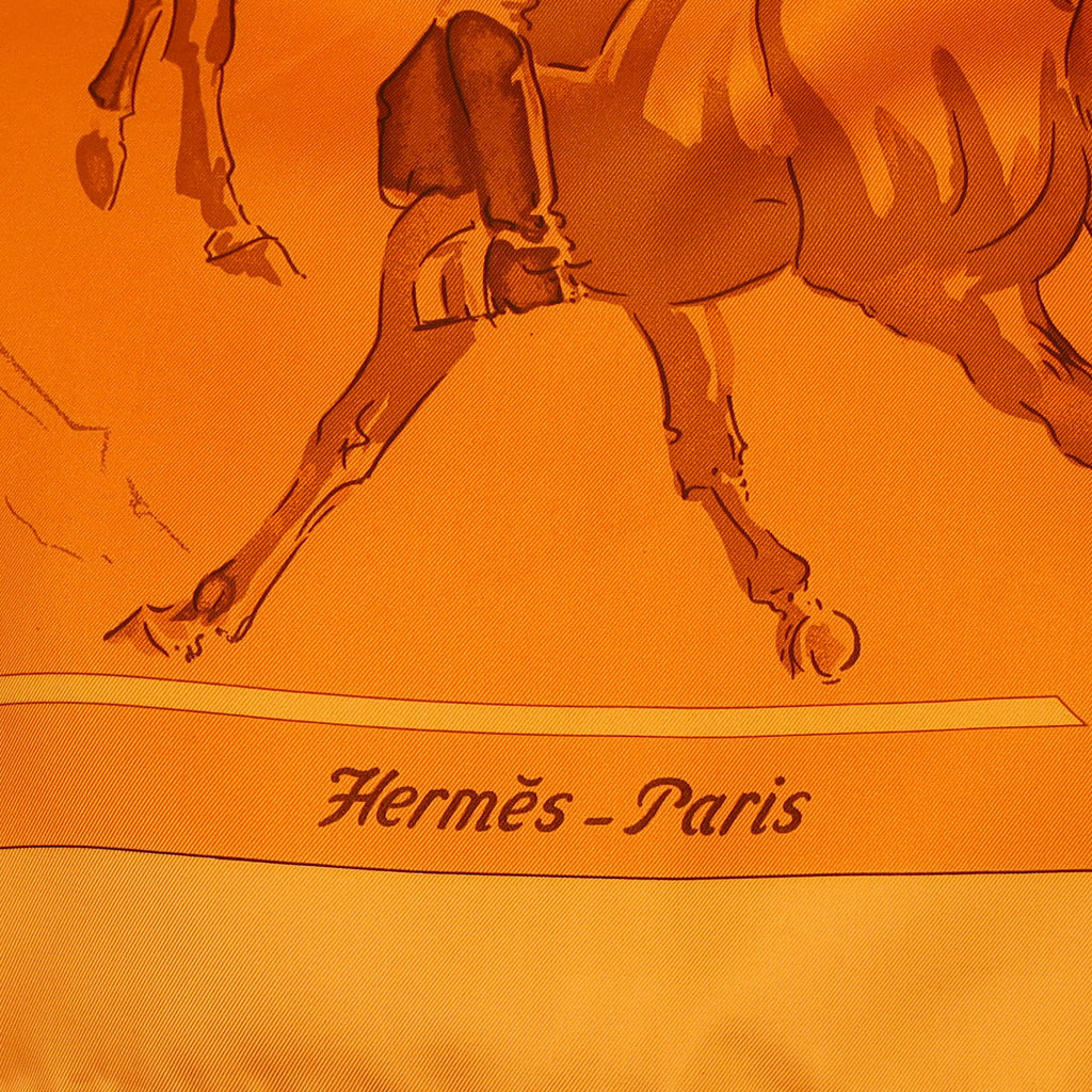 Pristine Hermès Ballet Équestre Silk Scarf Quite Rare