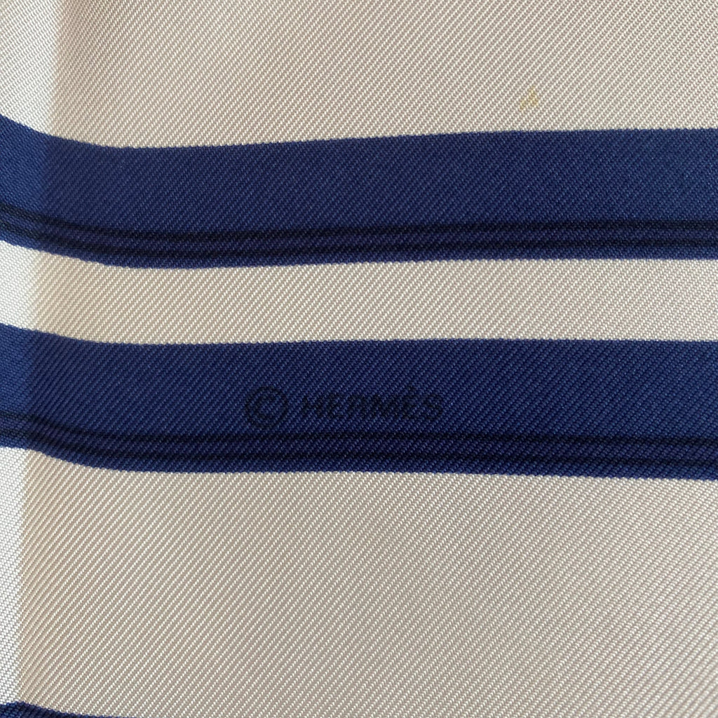 Hermès Brides de Gala Silk Scarf