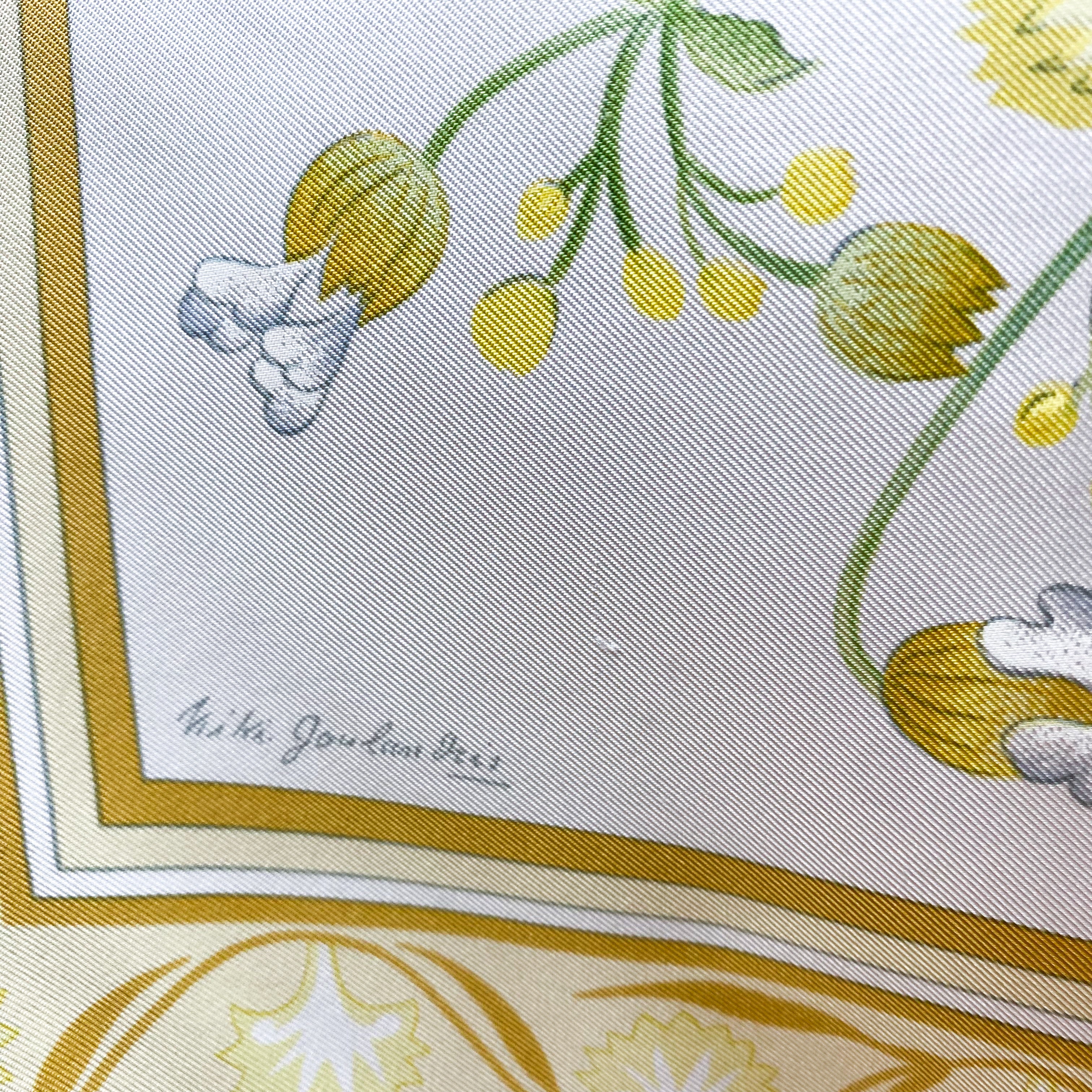 Boxed Hermes Oeillets Sauvages Vintage Silk Scarf