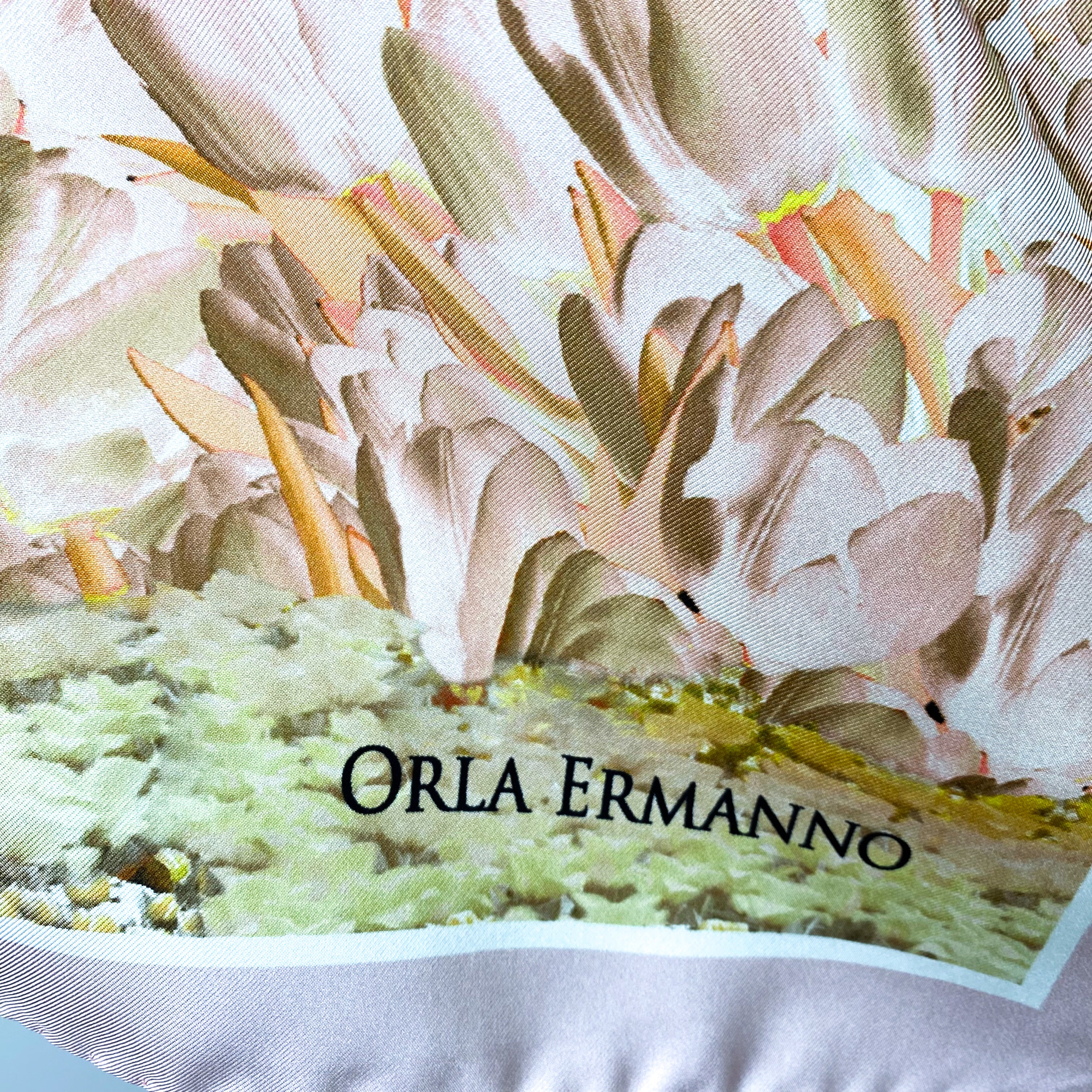 Orla Ermanno Pastel Silk Scarf