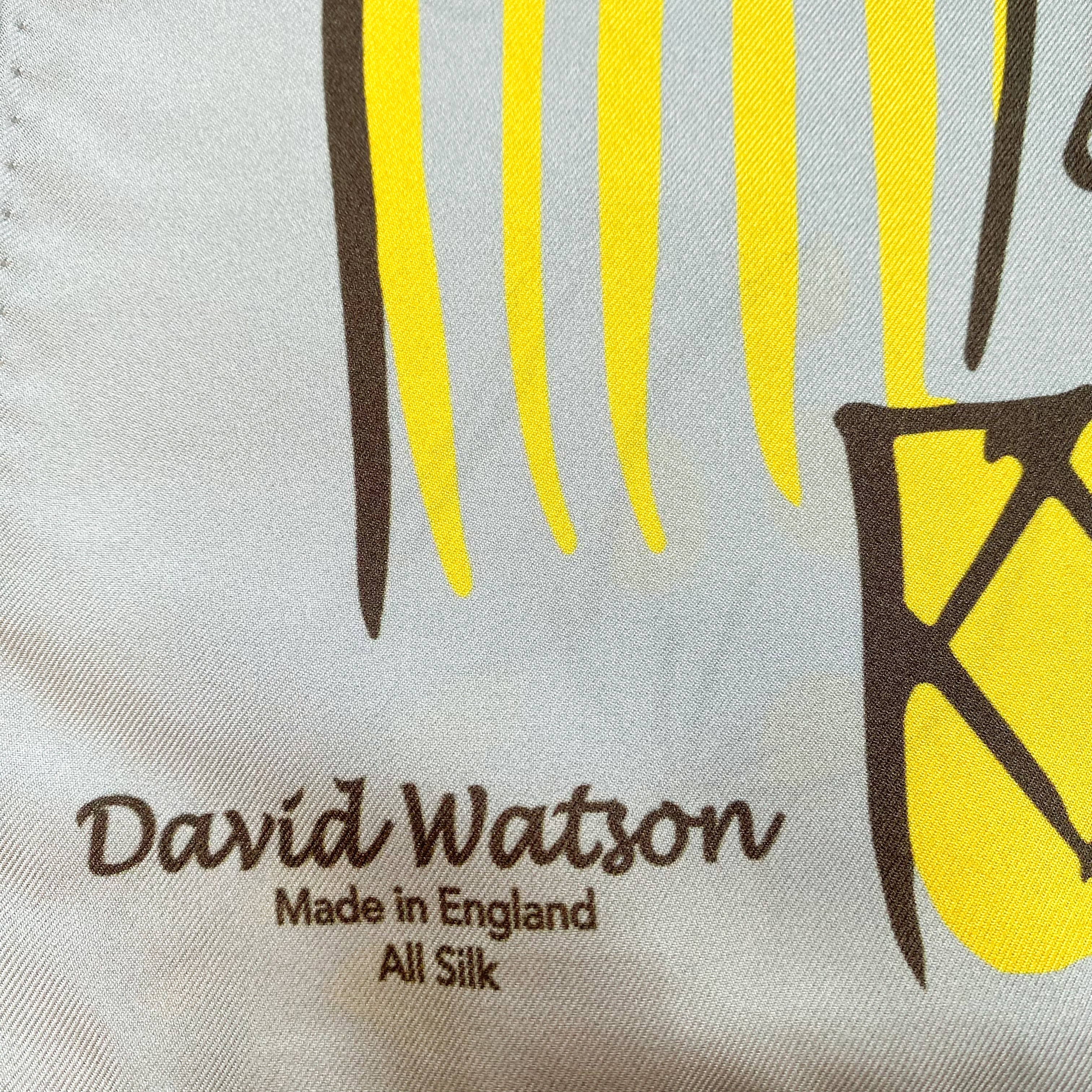 David Watson Stylish Ladies Silk Scarf