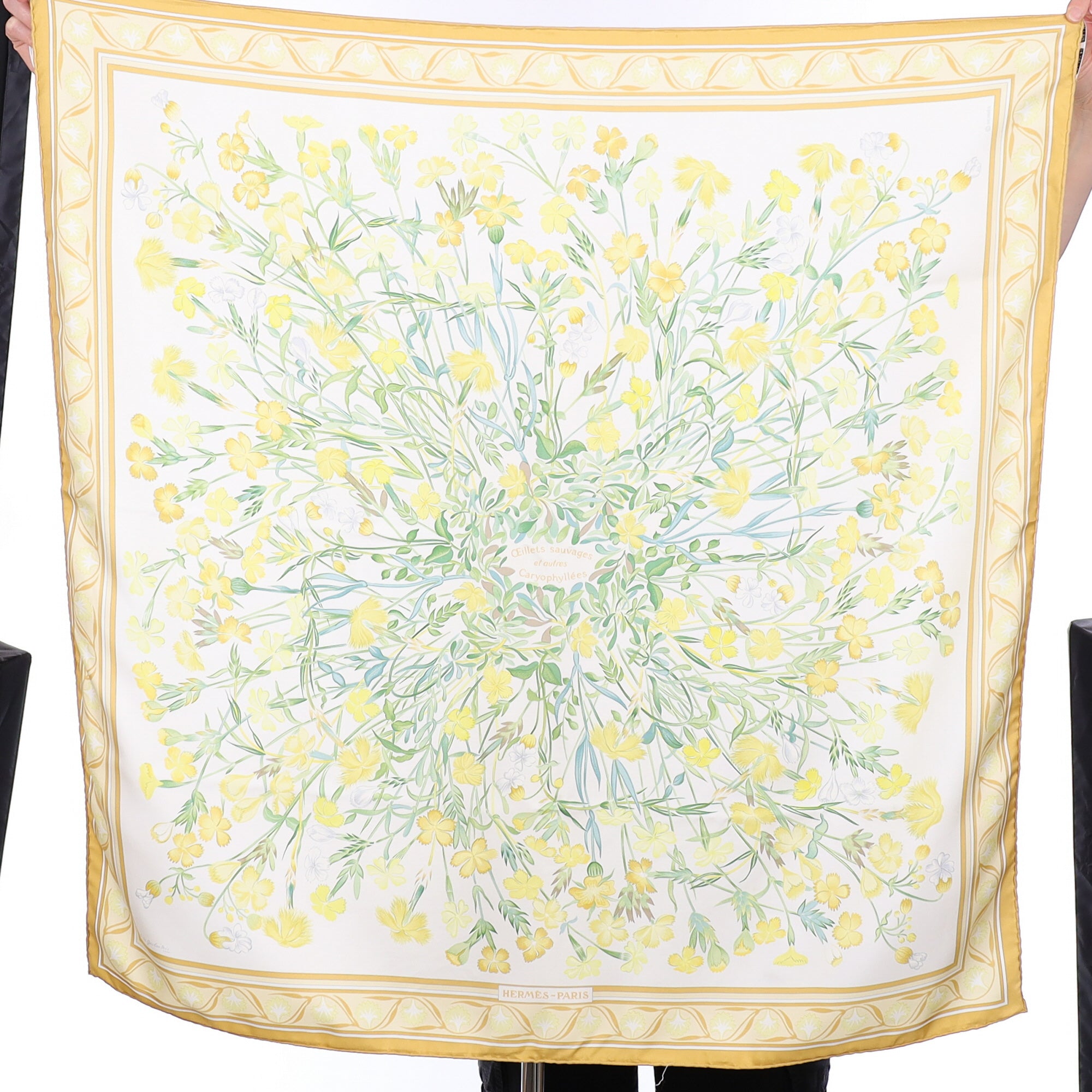 Hermès Oeillets Sauvages et autres Caryophyllées Silk Scarf