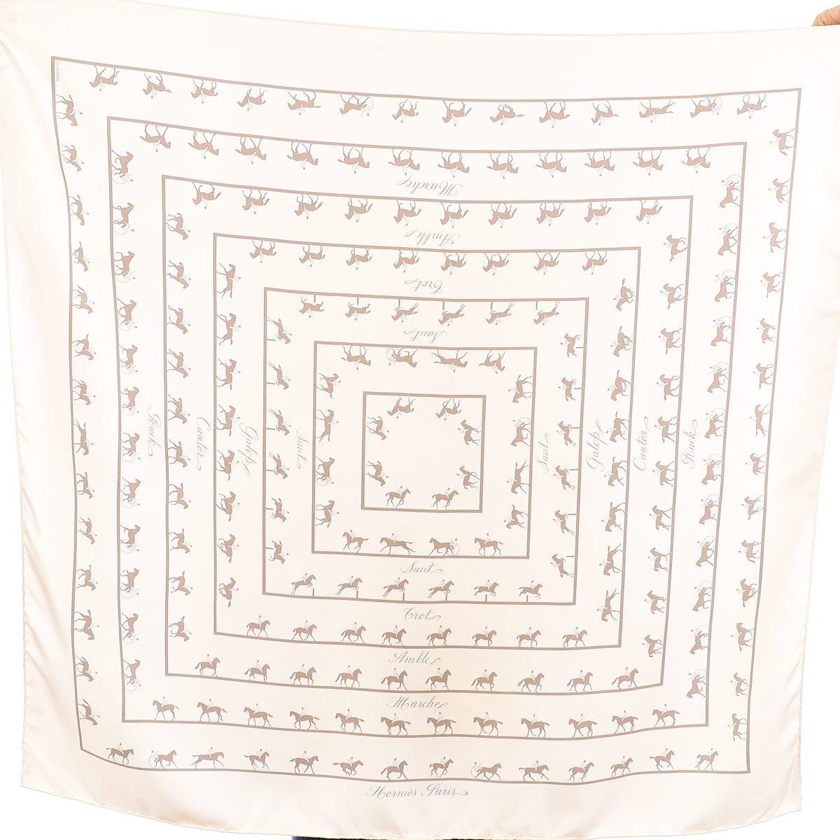 Hermès Les Allures Silk Scarf Rare