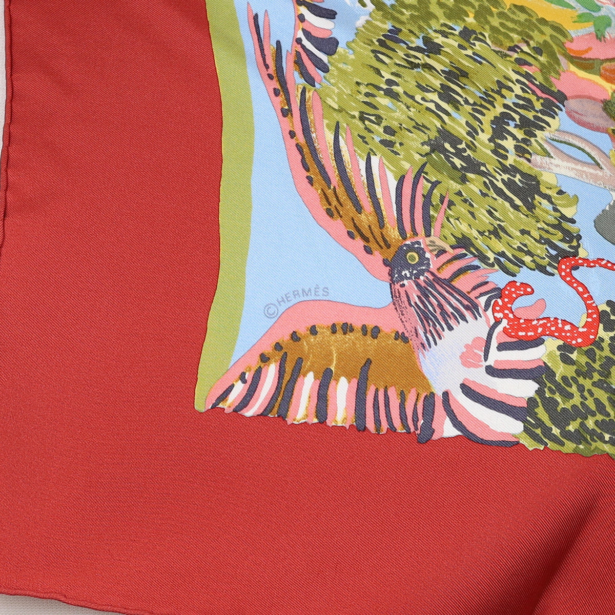 Pristine Hermès Nuba Mountain Silk Scarf