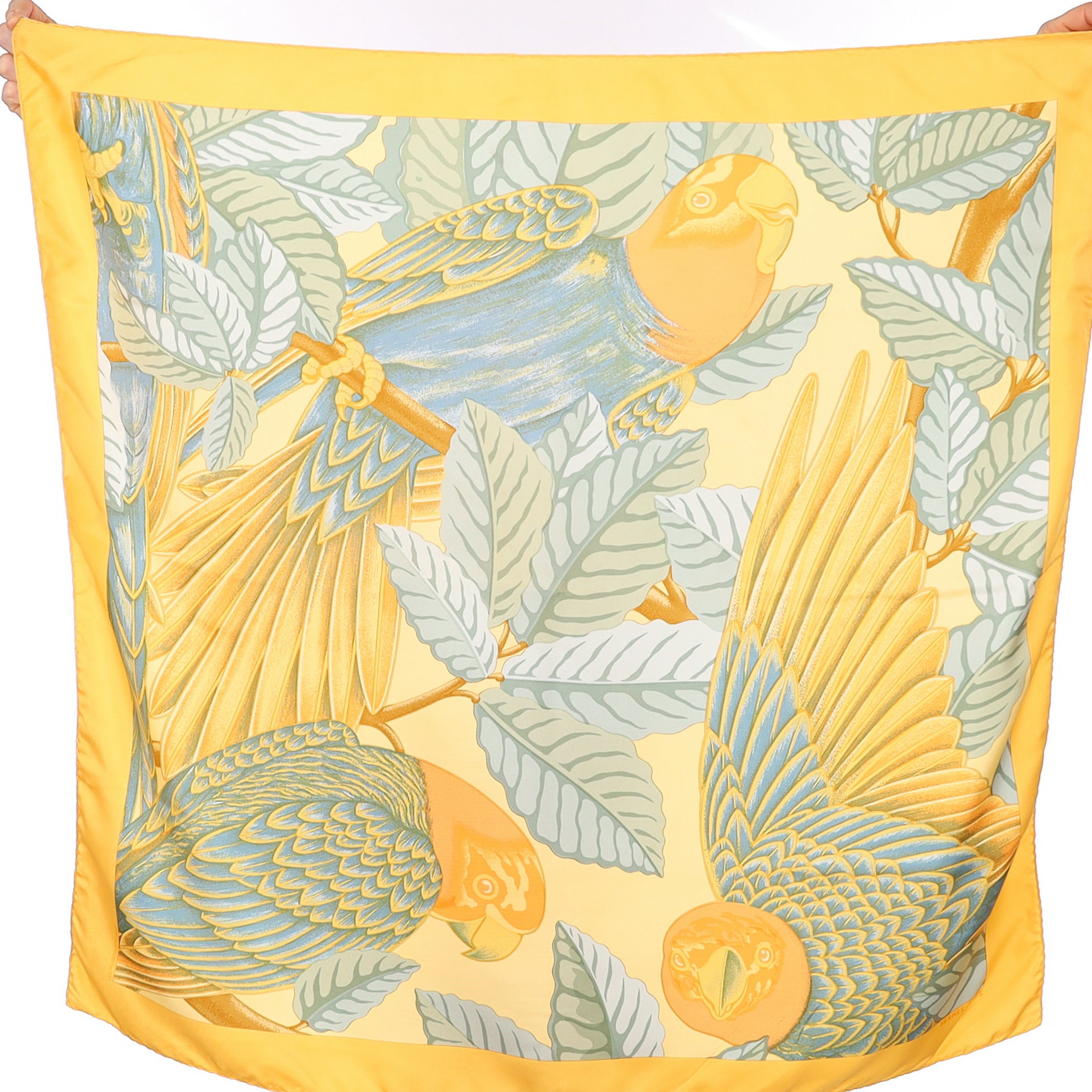 Hermès Les Perroquets Silk Scarf Quite Rare