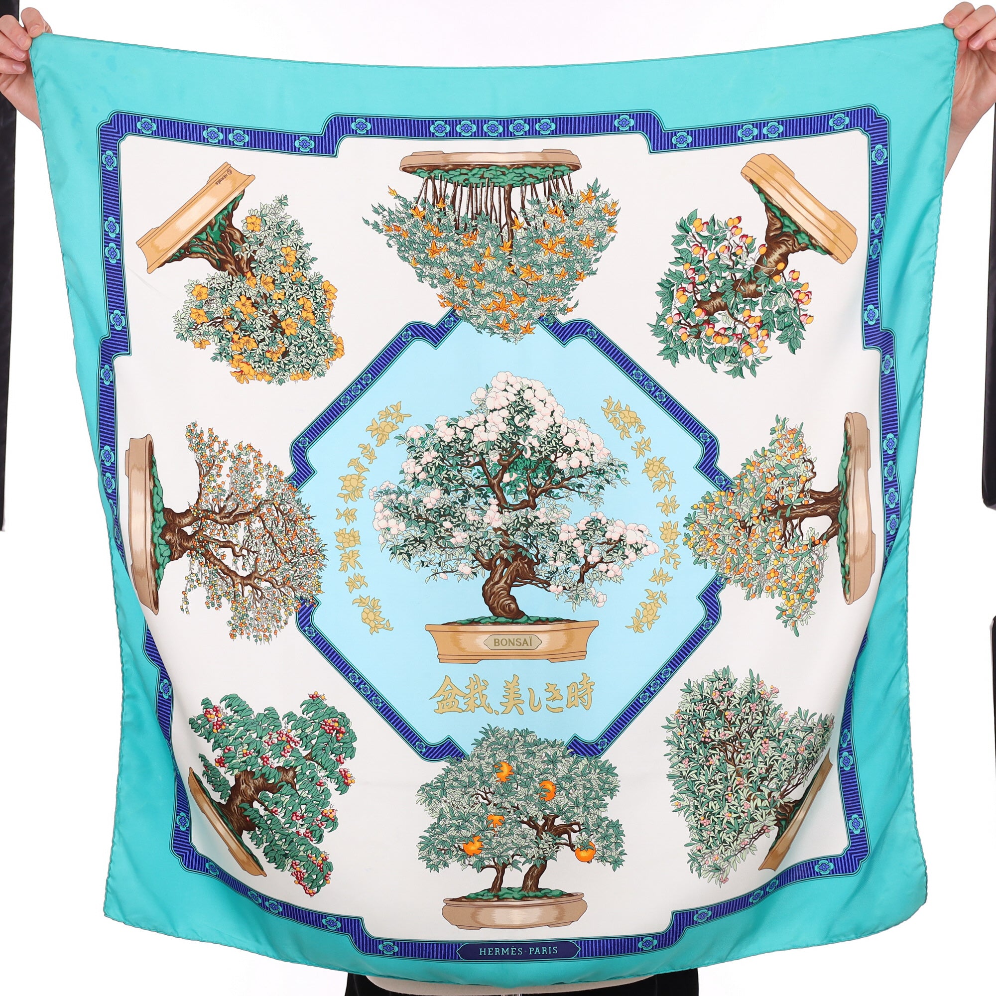 Hermès Bonsai Vintage Silk Scarf Quite Rare