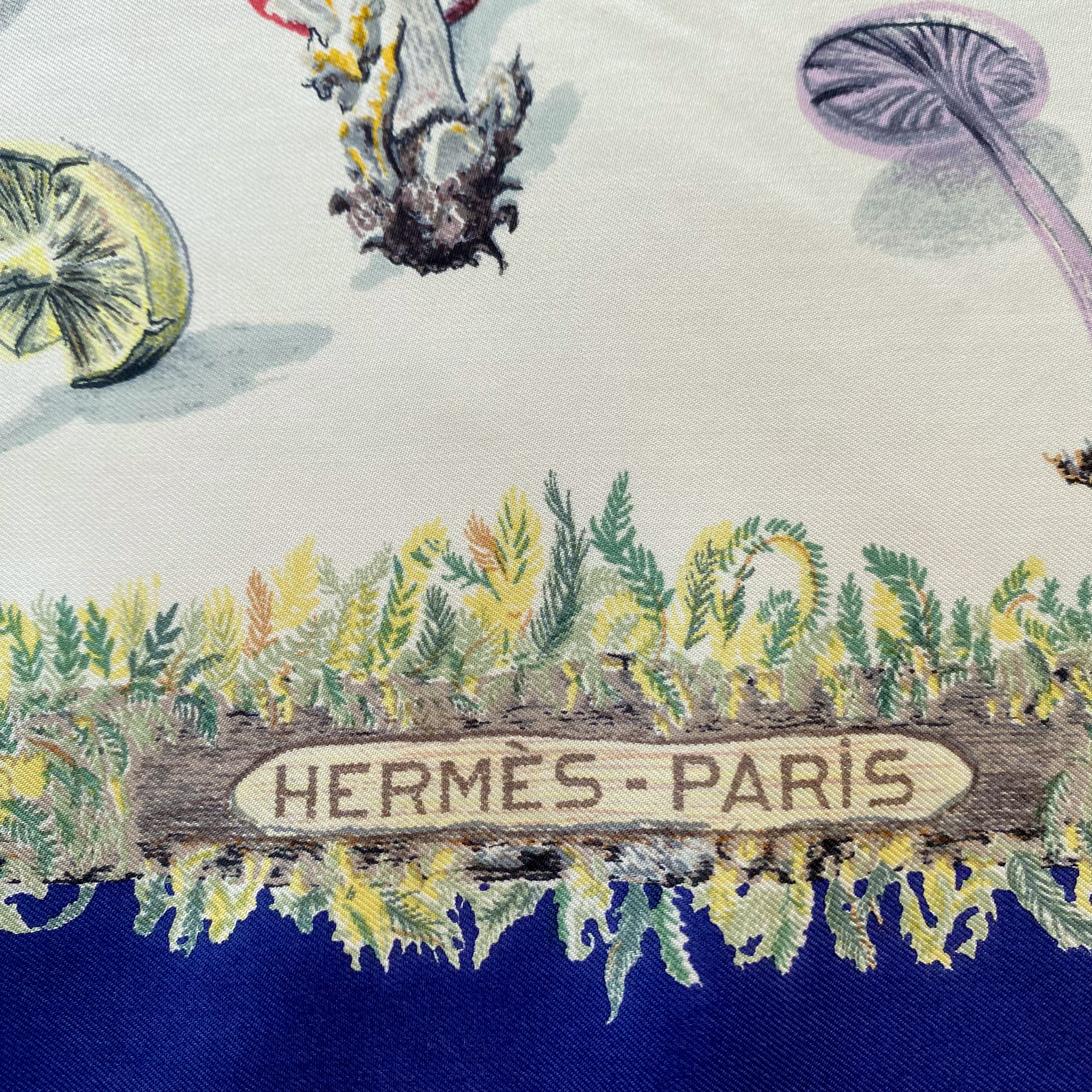 Boxed Hermès Les Champignons II Vintage Silk Scarf