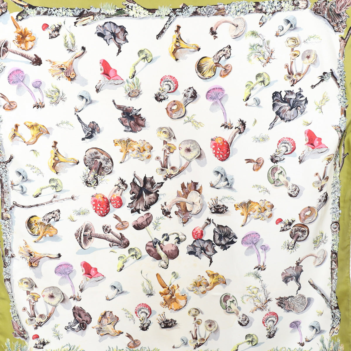 Hermès Mushroom Silk Scarf Rare