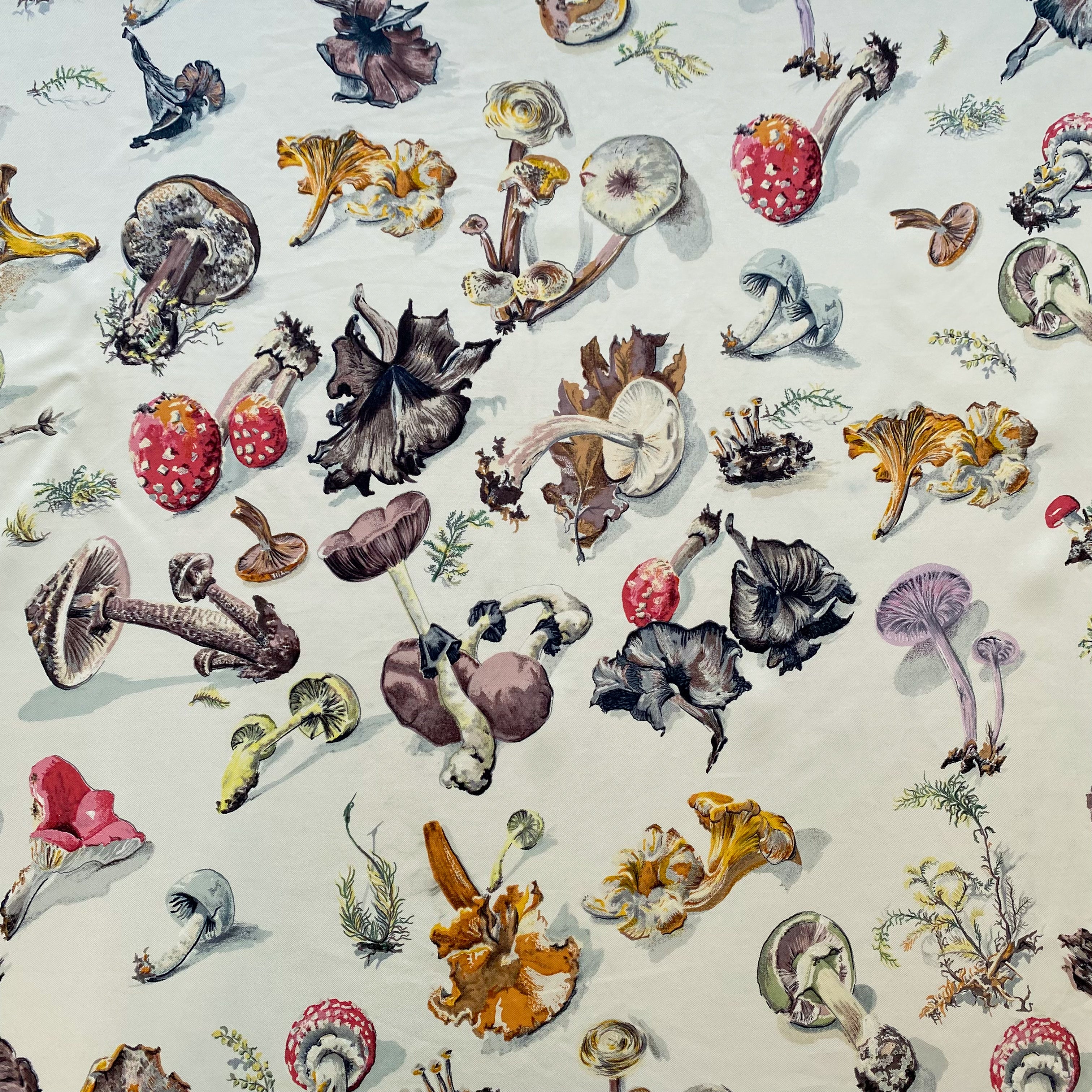 Boxed Hermès Les Champignons II Vintage Silk Scarf