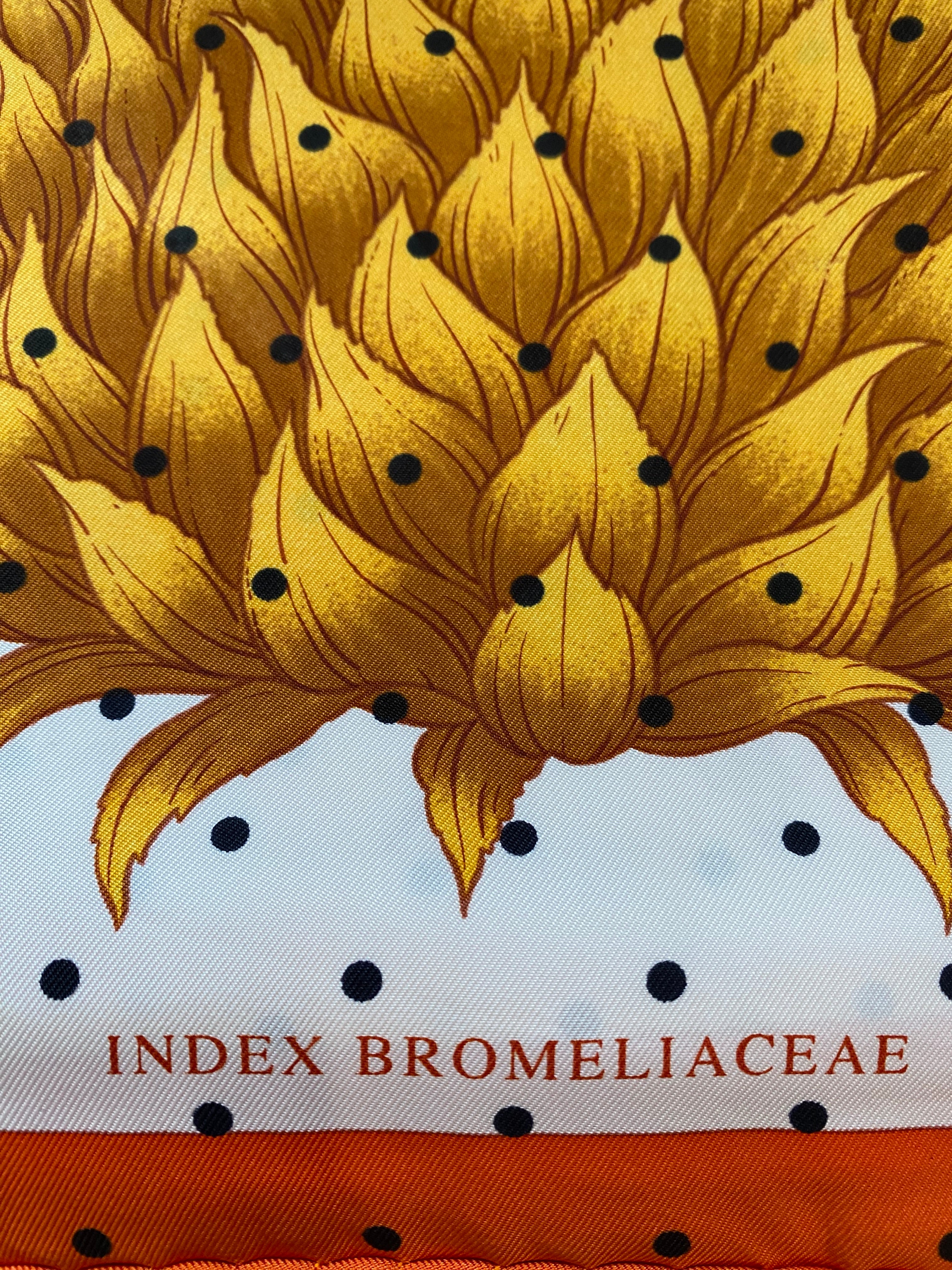 Hermès Index Bromeliaceae Silk Scarf