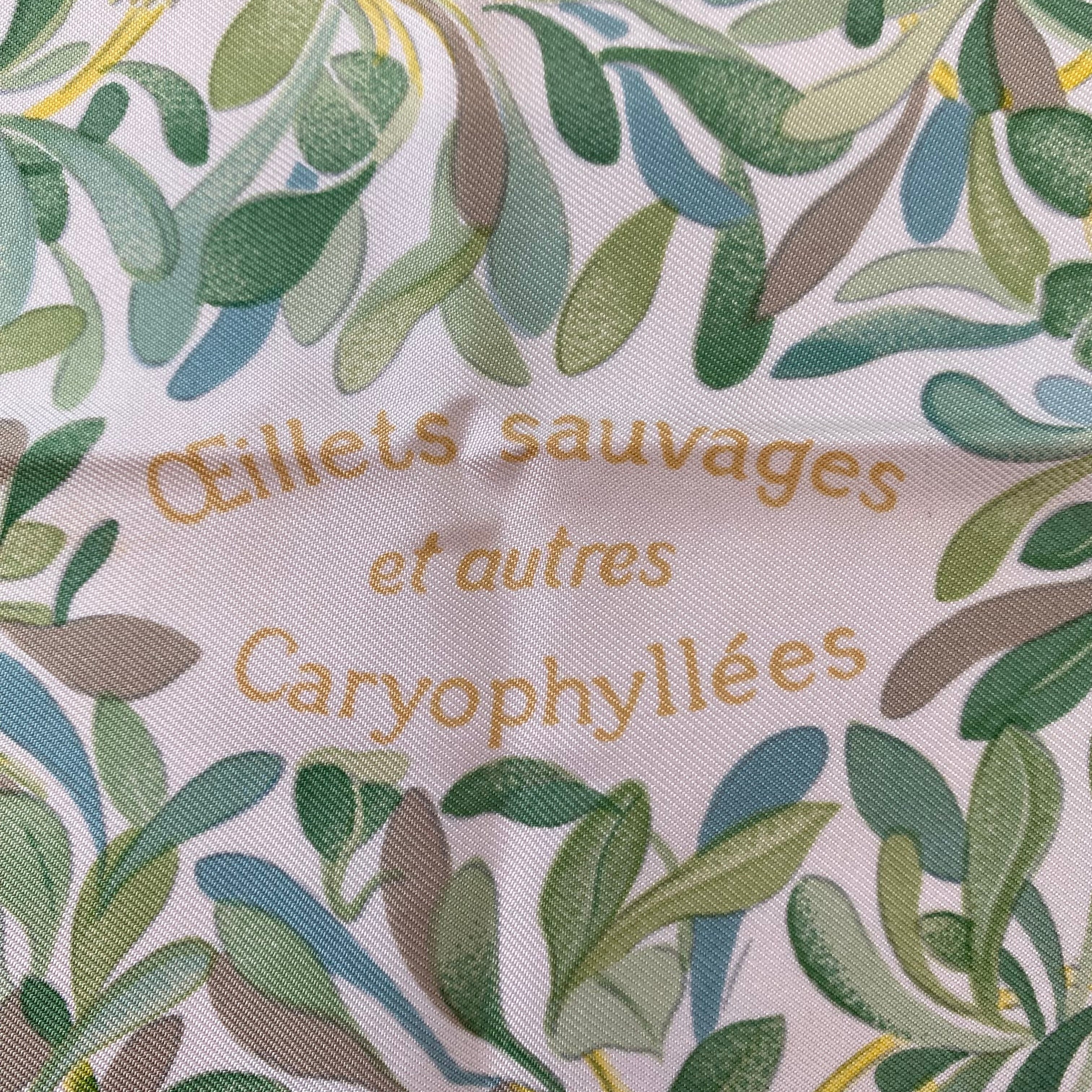 Hermès Oeillets Sauvages et autres Caryophyllées Silk Scarf