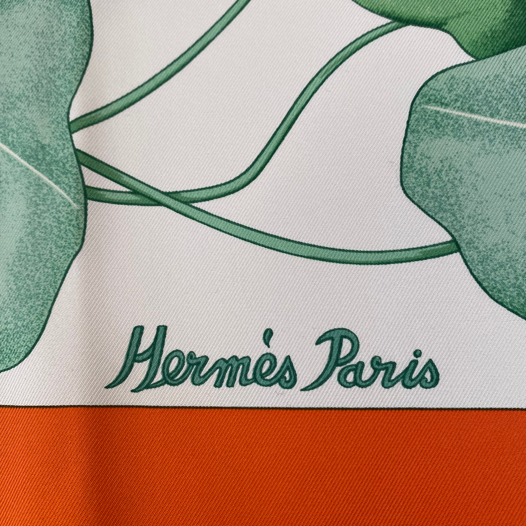 Brand New Boxed Hermès Les Capucines Silk Scarf Quite Rare
