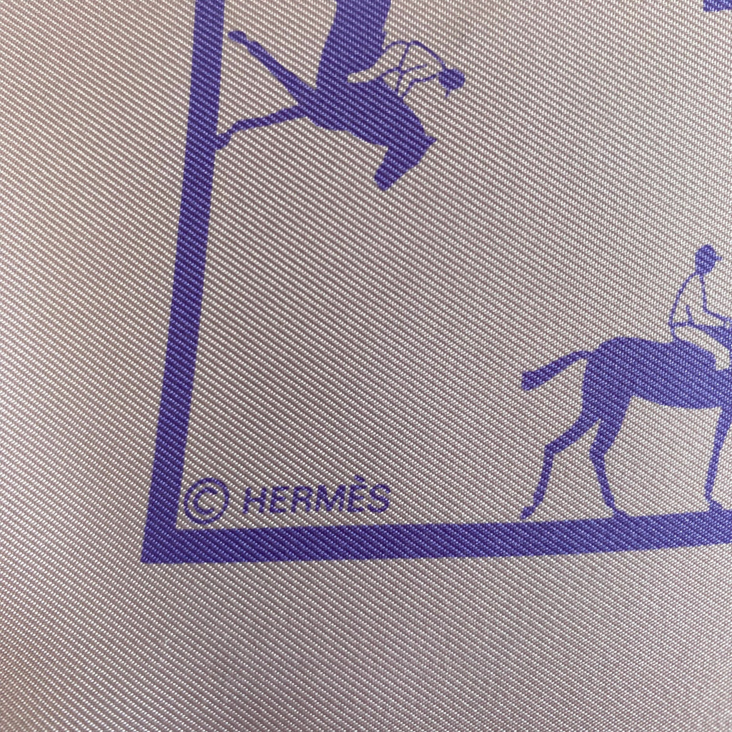 Boxed Hermès Les Allures Silk Scarf Rare