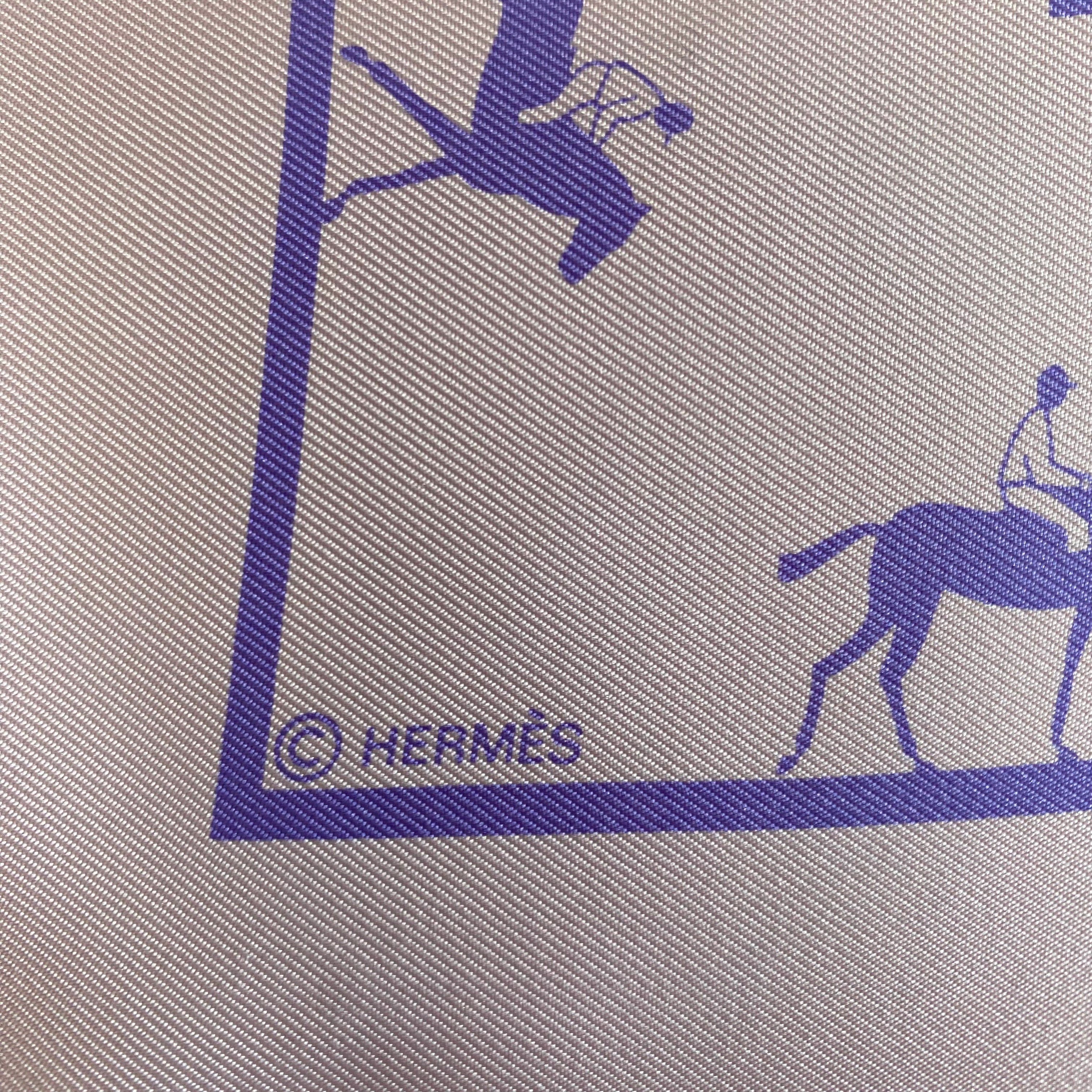 Boxed Hermès Les Allures Silk Scarf Rare